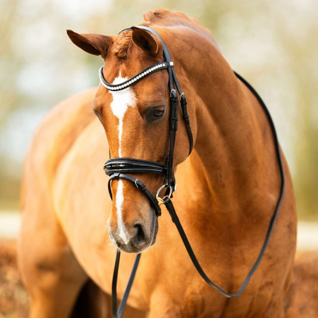 BR Bridle Hitchin Black/Silver