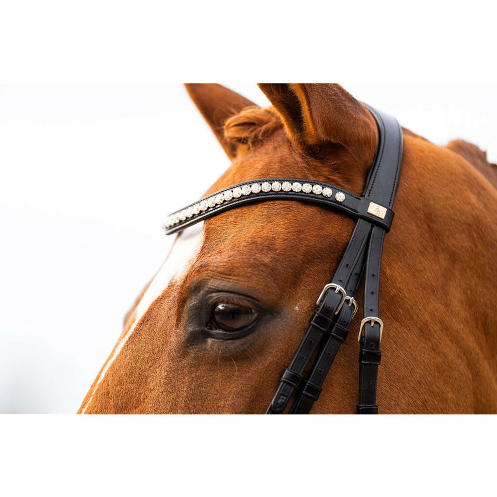 BR Bridle Hitchin Black/Silver
