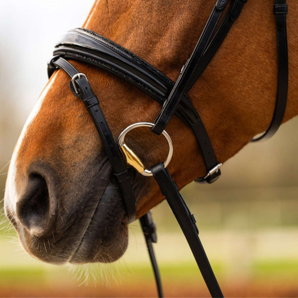 BR Bridle Hitchin Black/Silver