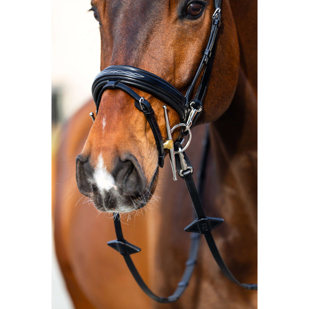 BR Bridle Seaford Black/Silver