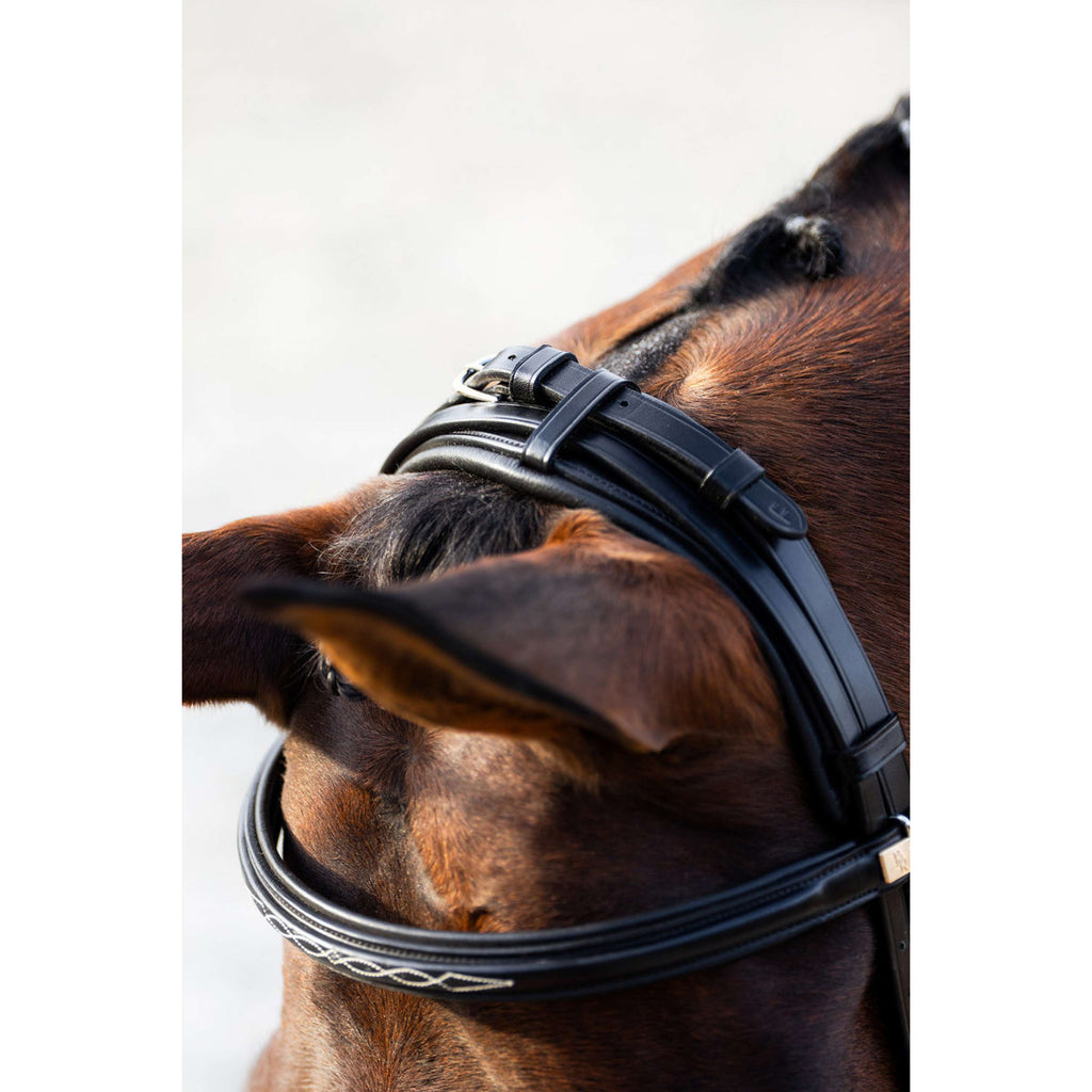 BR Bridle Seaford Black/Silver