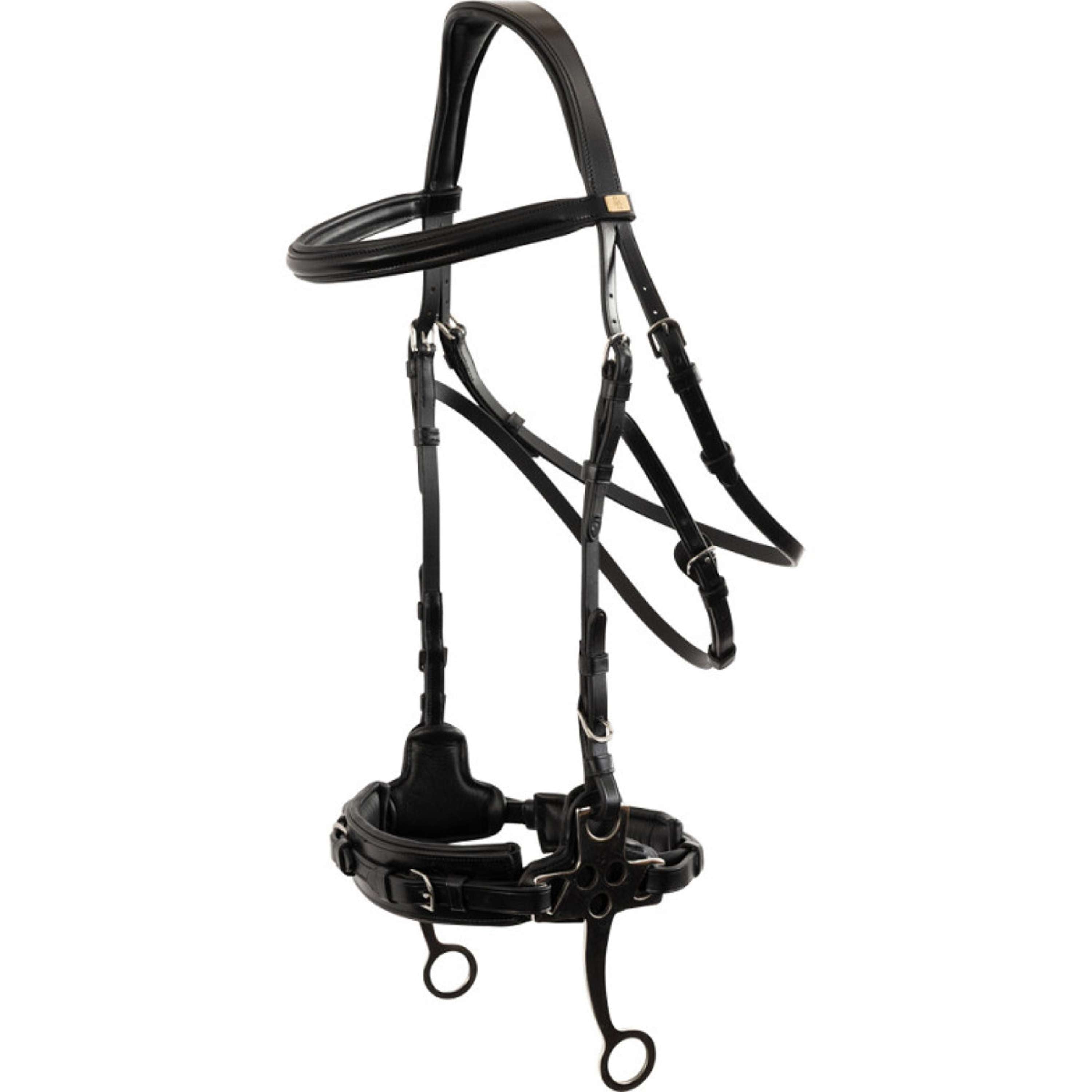 BR Hackamore Thornbury Black/Silver