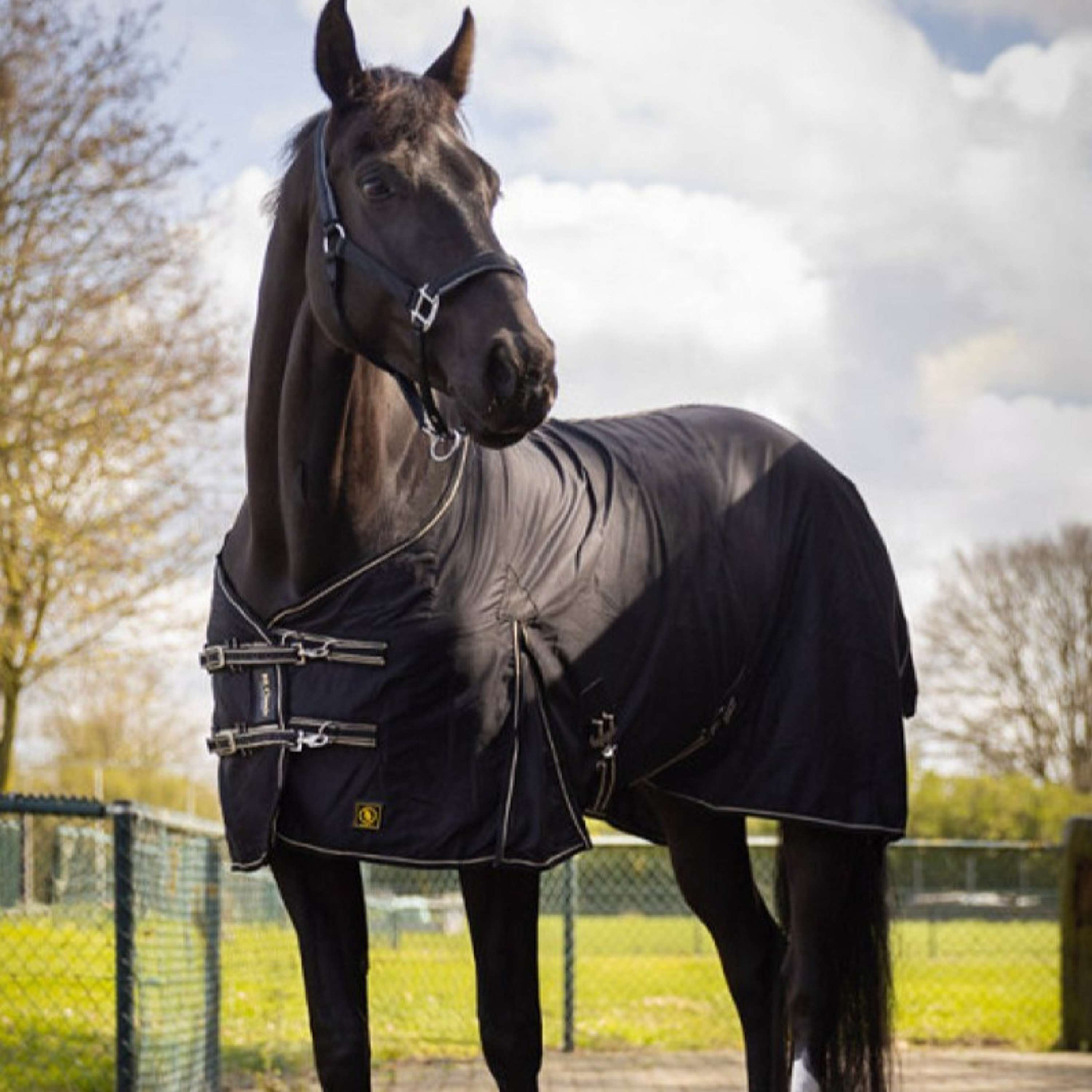 BR Rug Classic Cotton Black