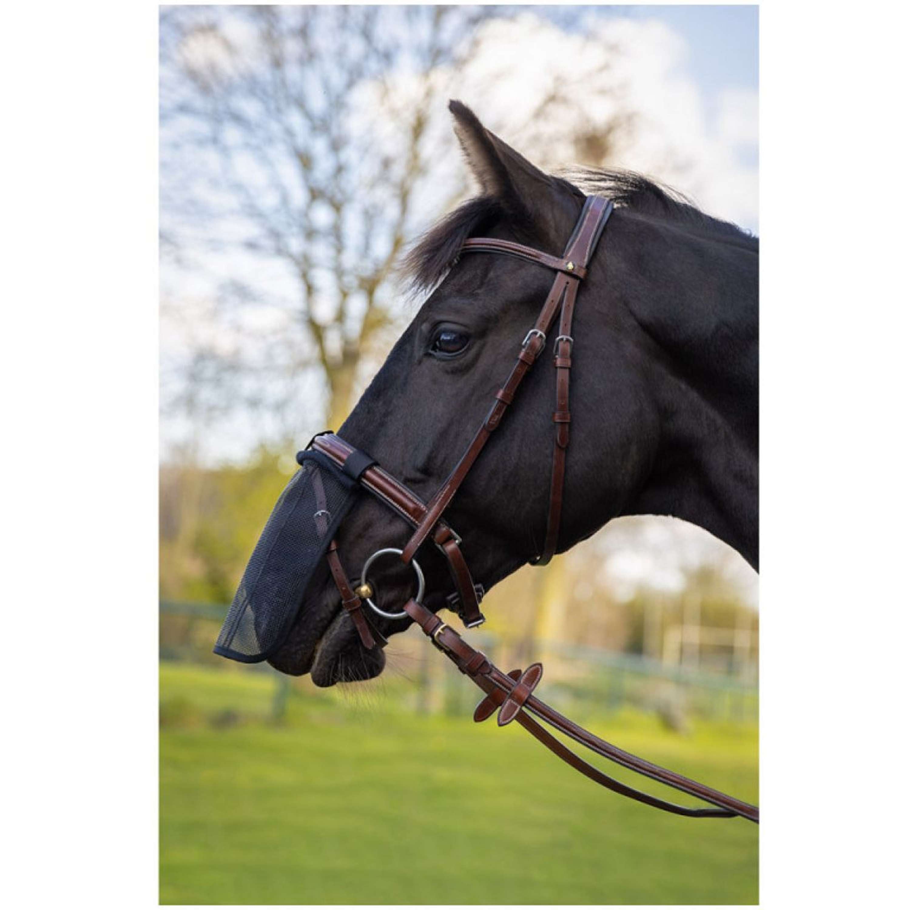 BR Nose Net Black