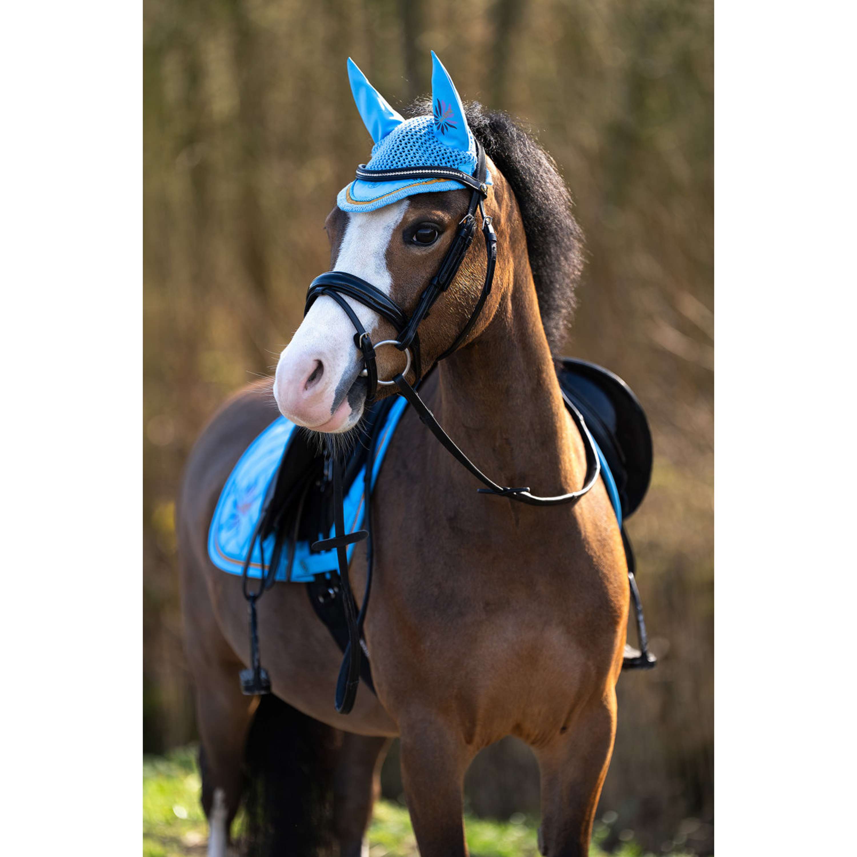 BR Ear Bonnet Mini Horse Little Blue