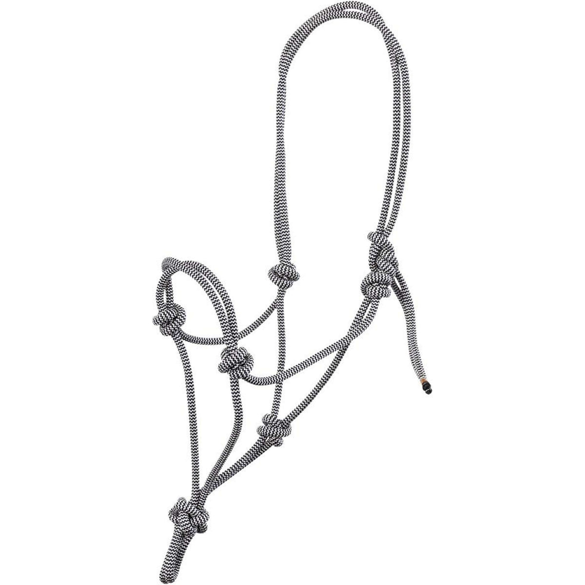 BR Rope Halter Klara Moonless Night