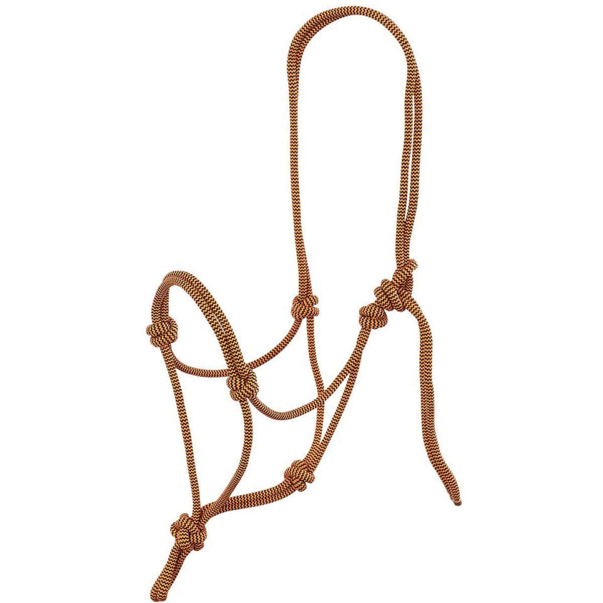 BR Rope Halter Klara Mecca Orange