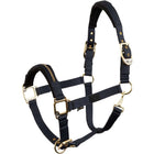 BR Halter Lieve Stratified Sea