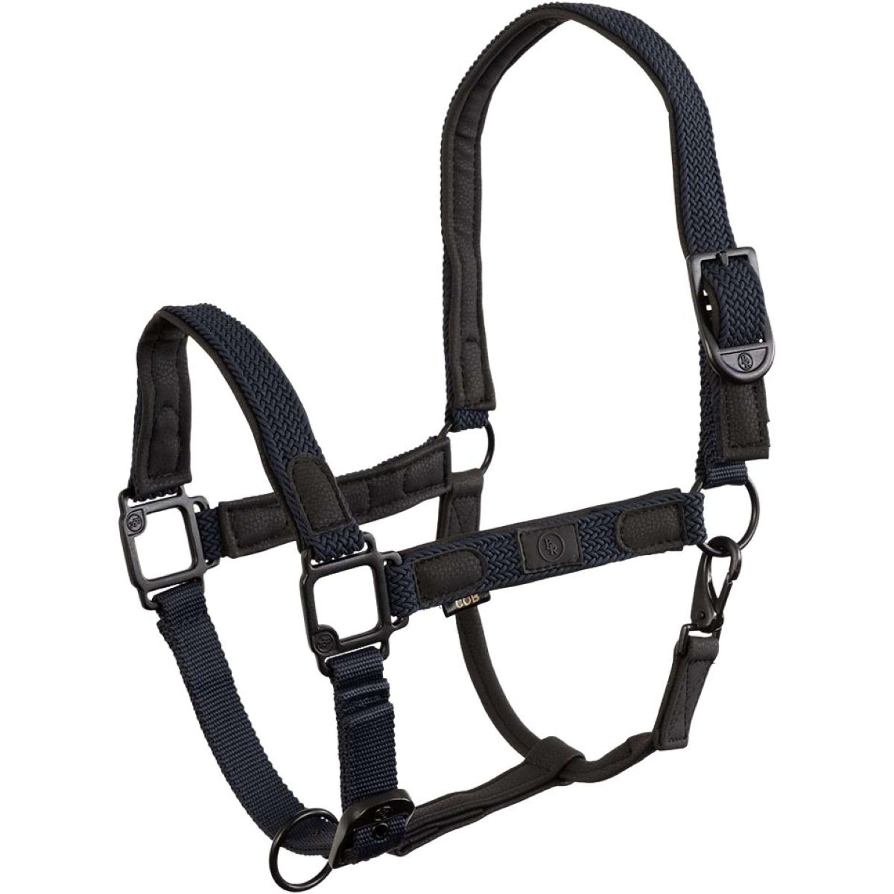 BR Halter Loes Stratified Sea