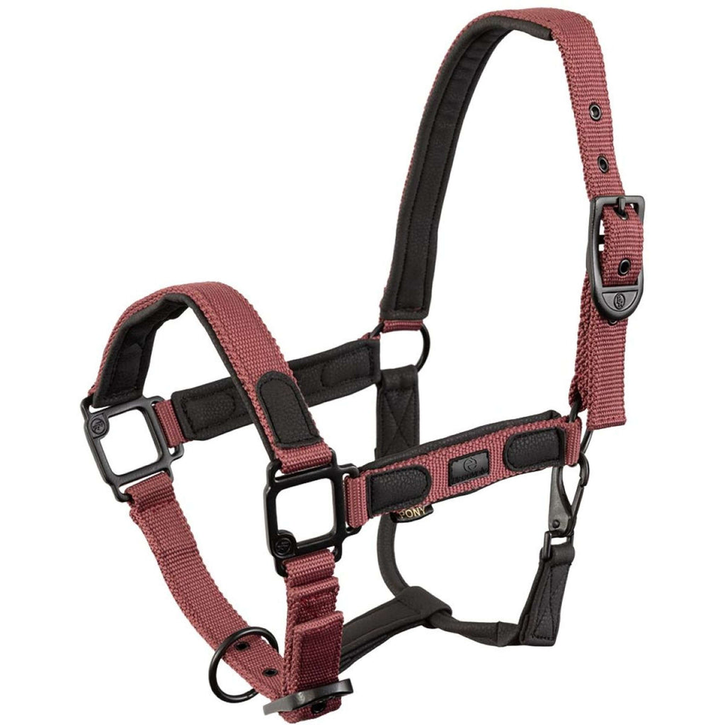 BR Halter Eevolv Laudine Maroon