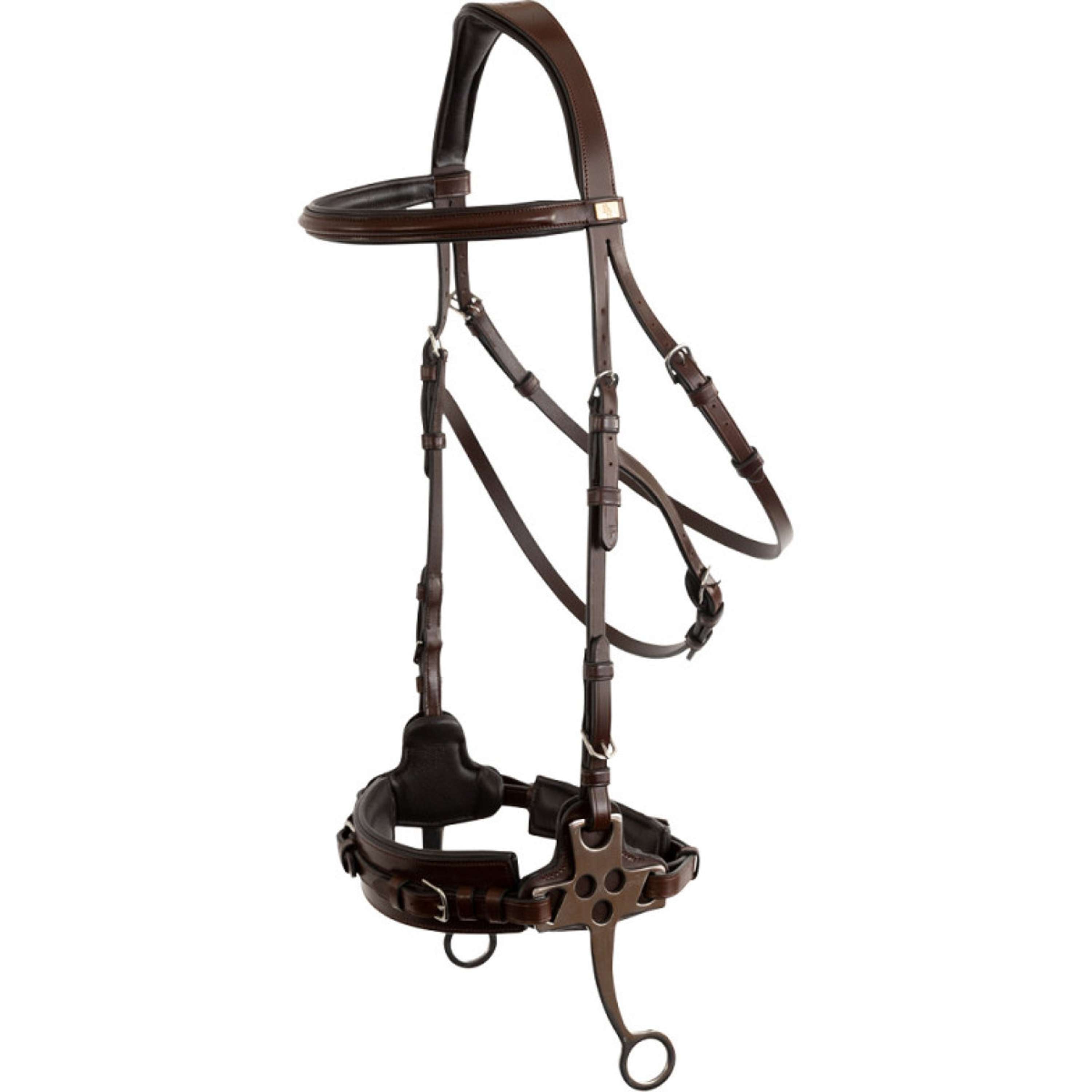 BR Hackamore Thornbury Oak/Silver