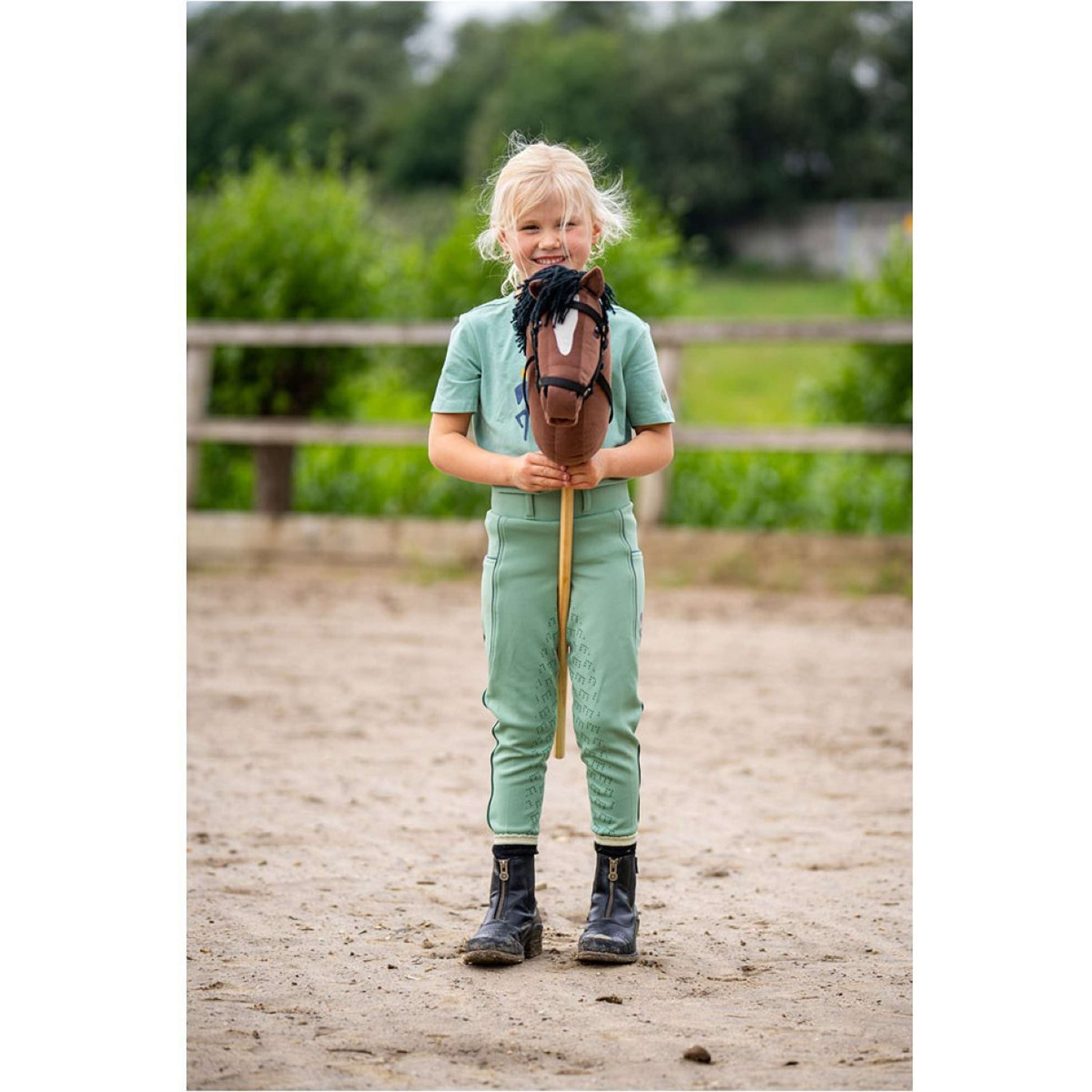 BR Mini Horse Hobby horse Brown