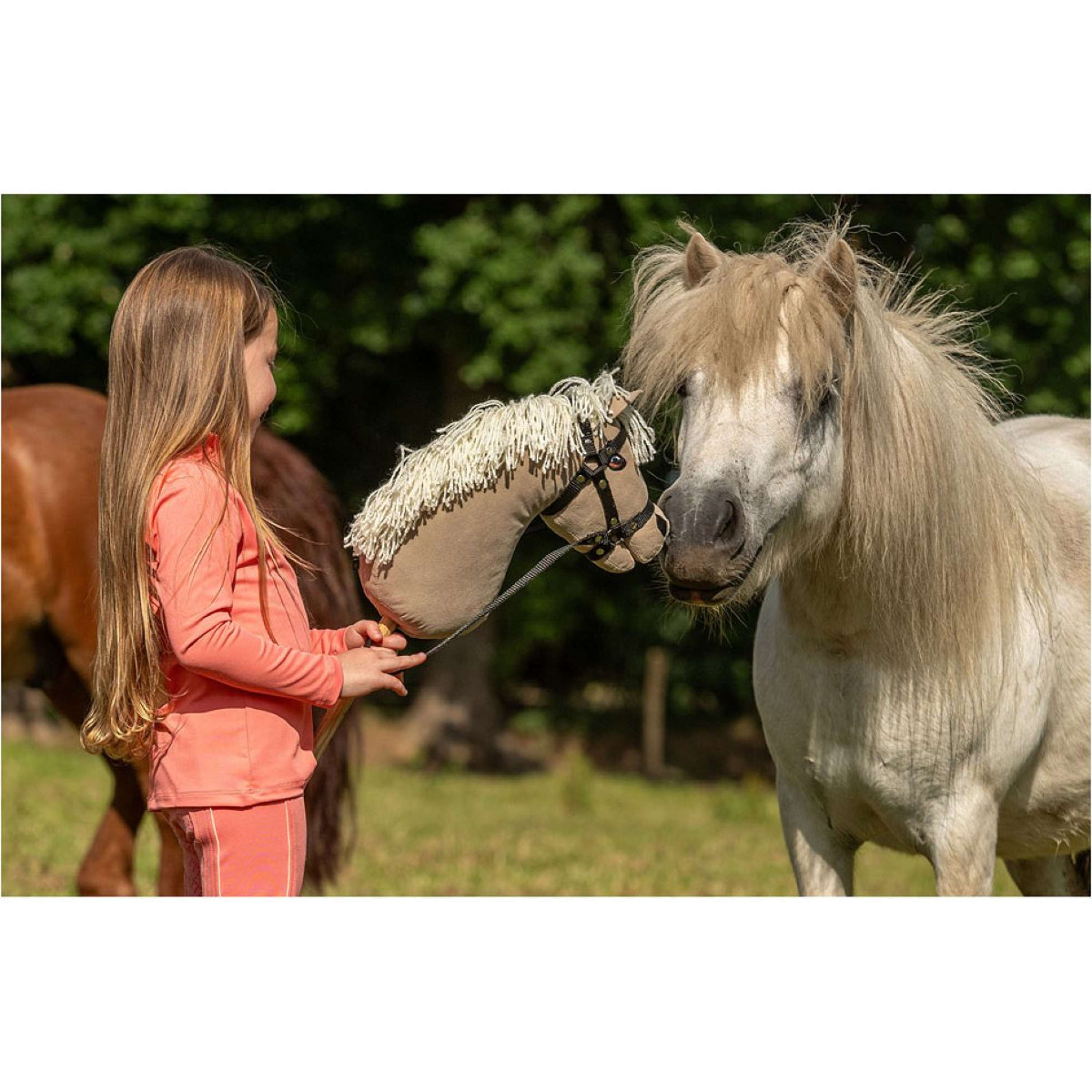 BR Mini Horse Hobby horse Beige