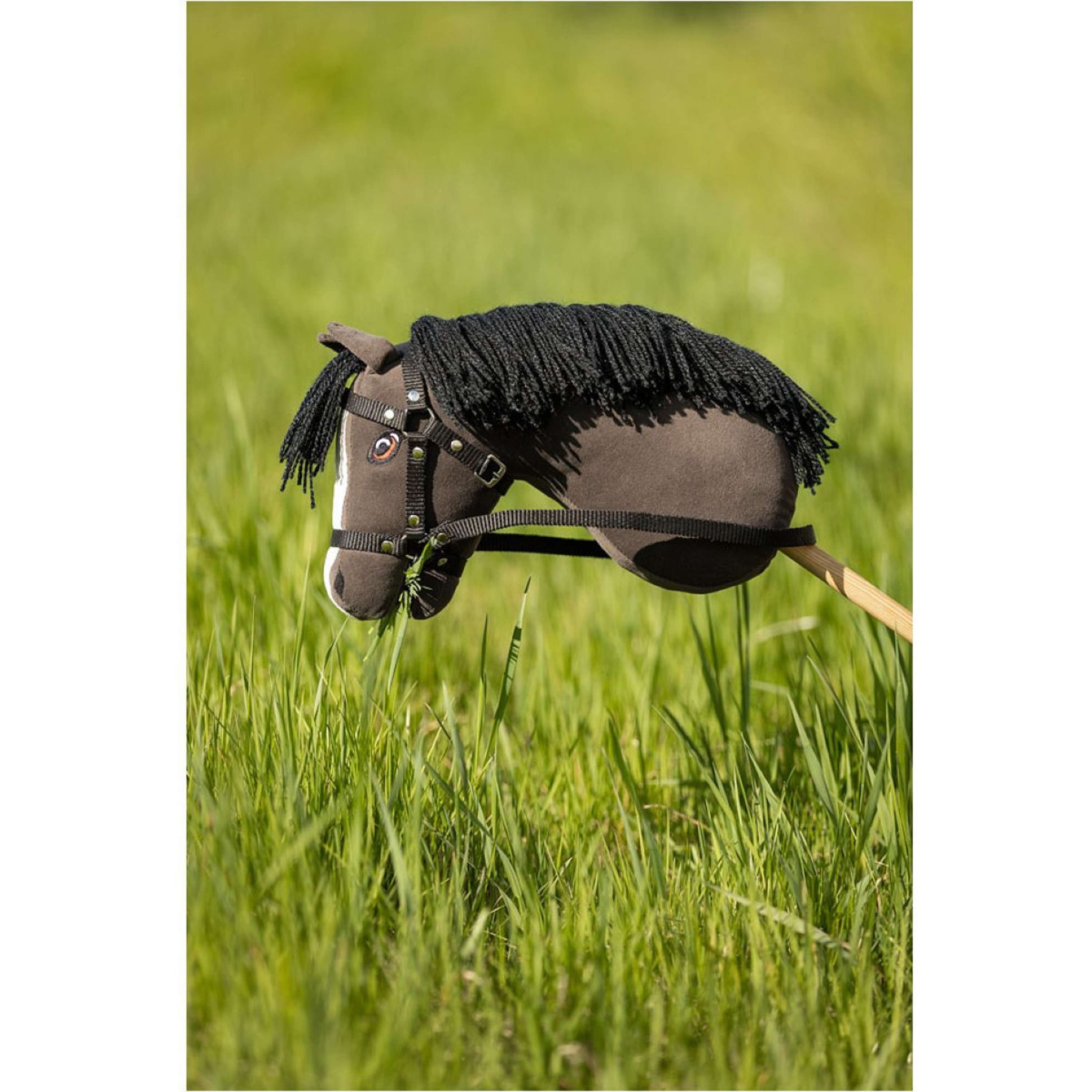 BR Mini Horse Hobby horse Black