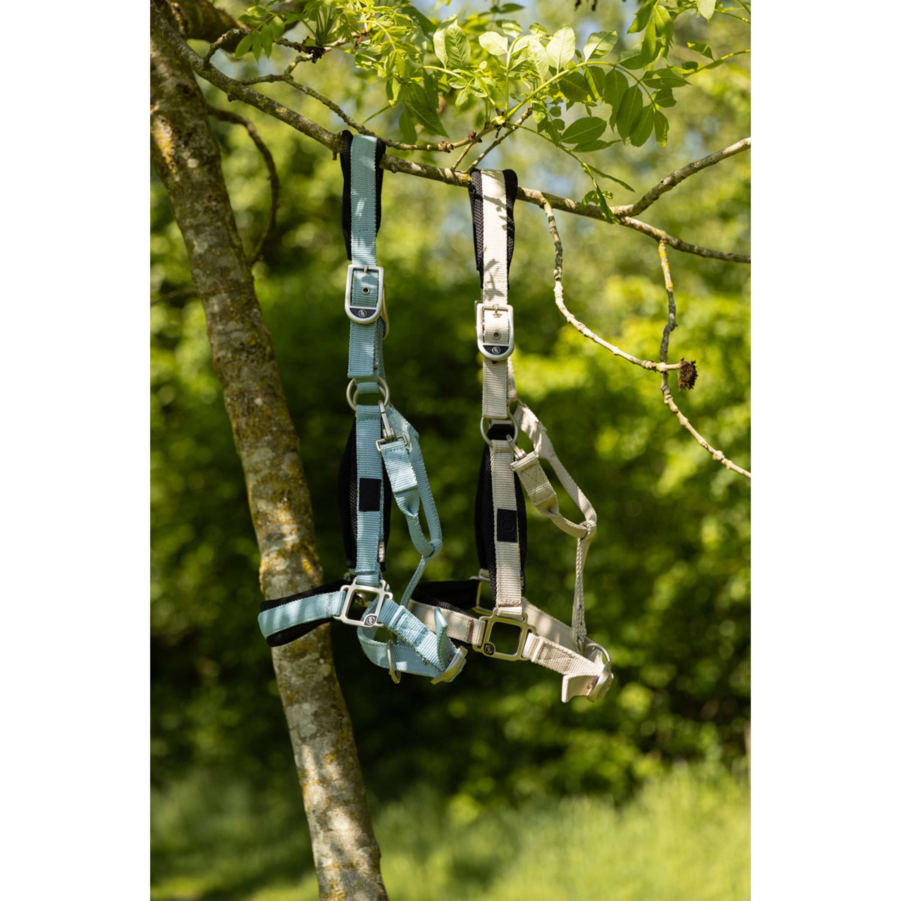 BR Halter Kris Mesh Safari