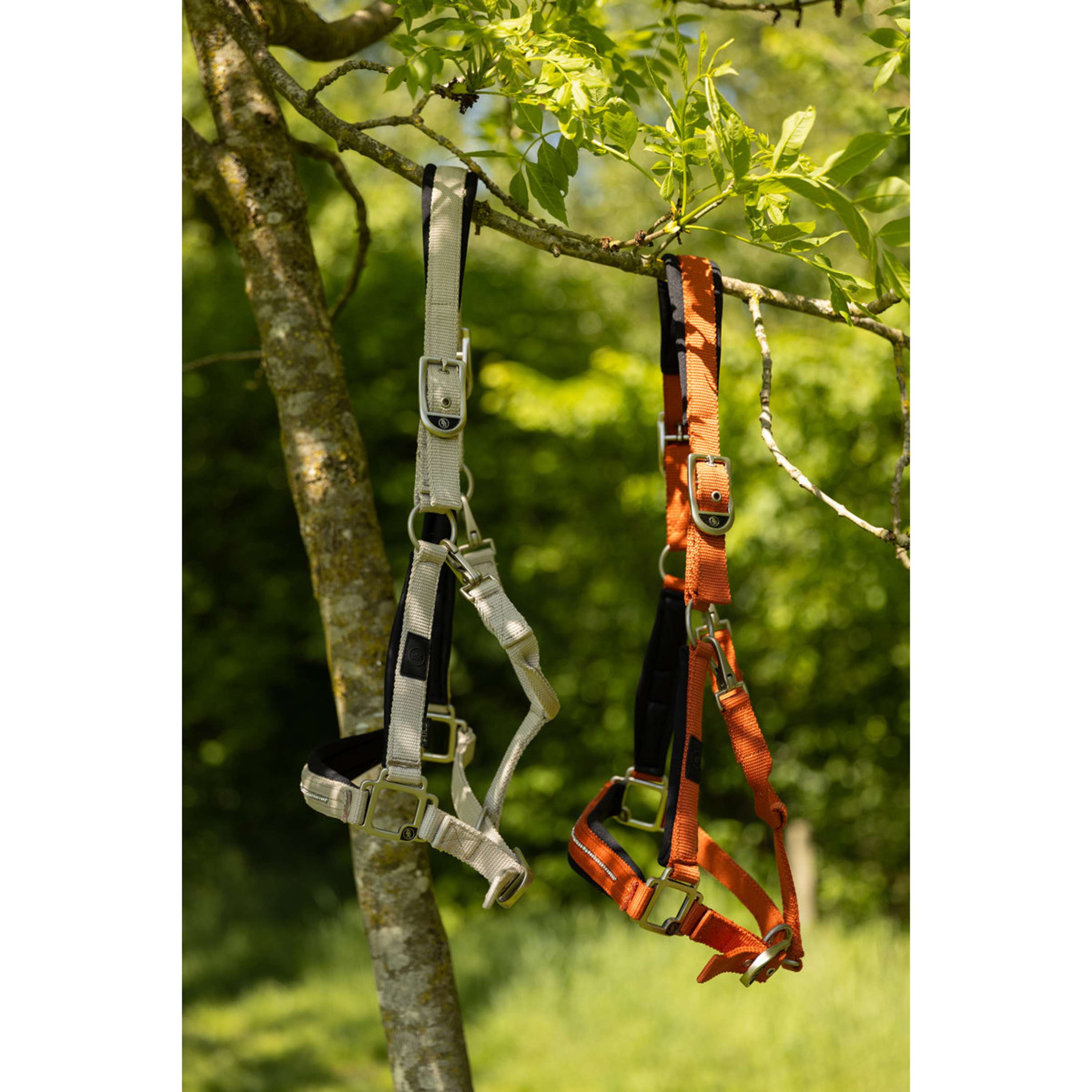 BR Halter Kimberly Neoprene Safari