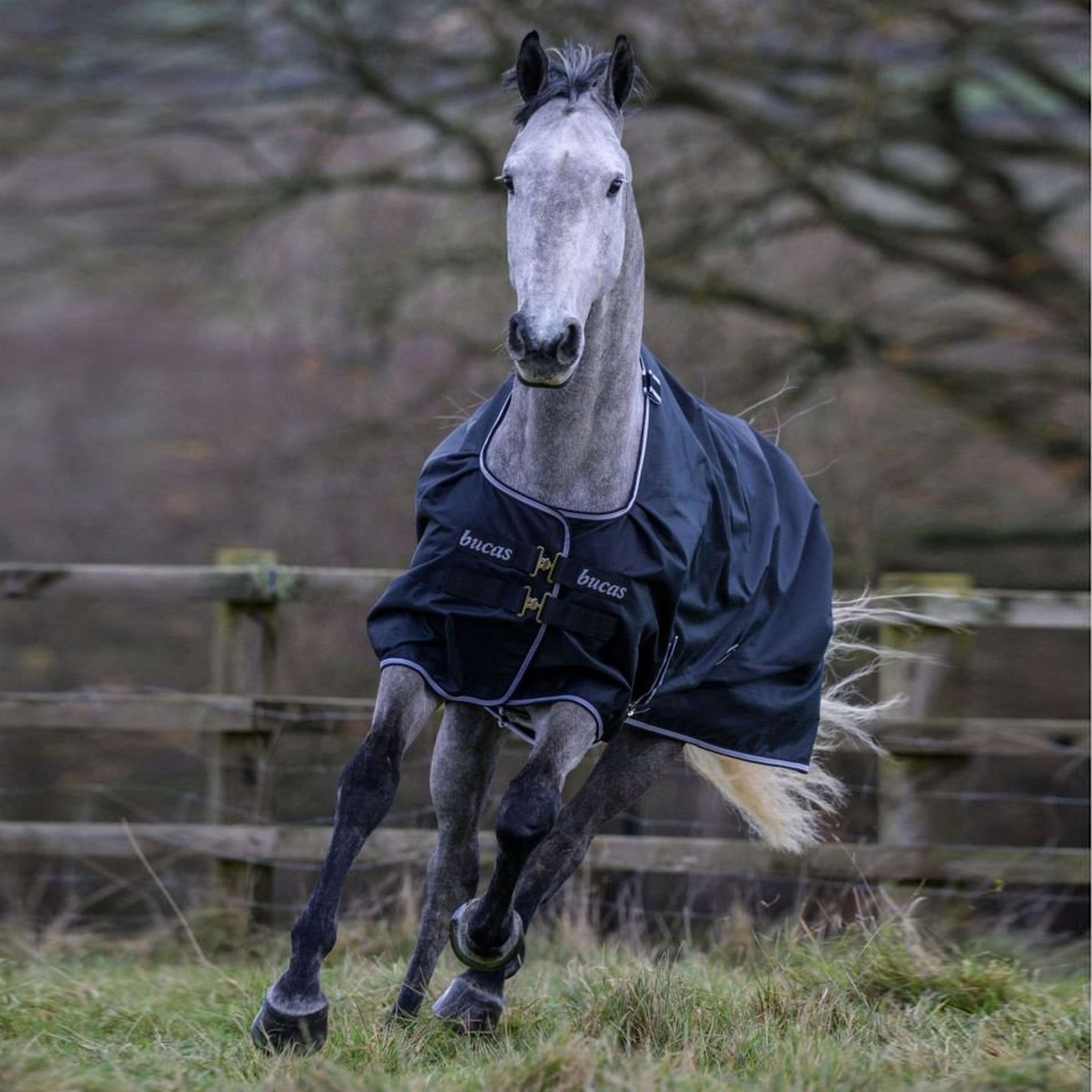 Bucas Trotting Turnout 200g Black/White