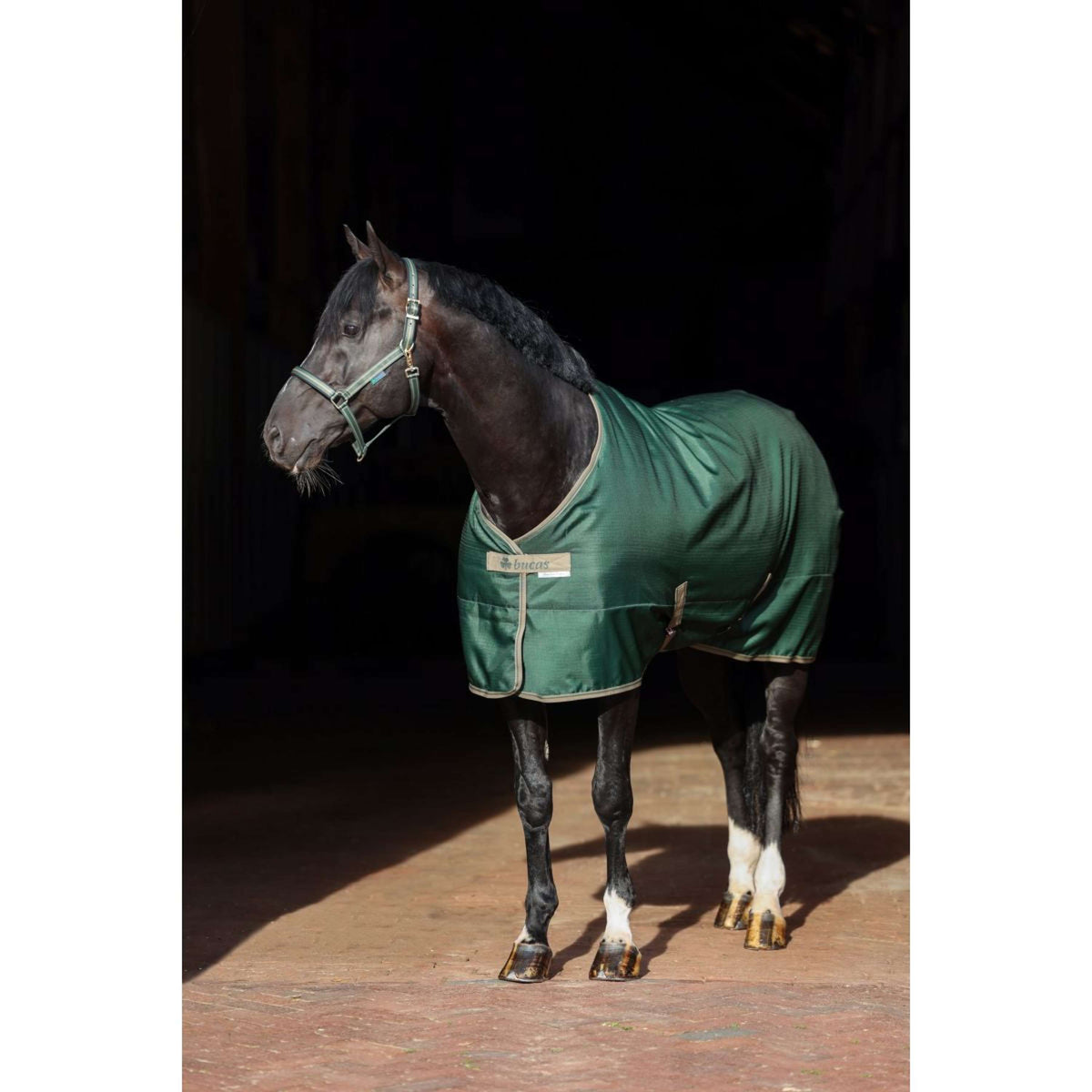 Bucas Stable Rug Freedom 300g Opal/Taupe