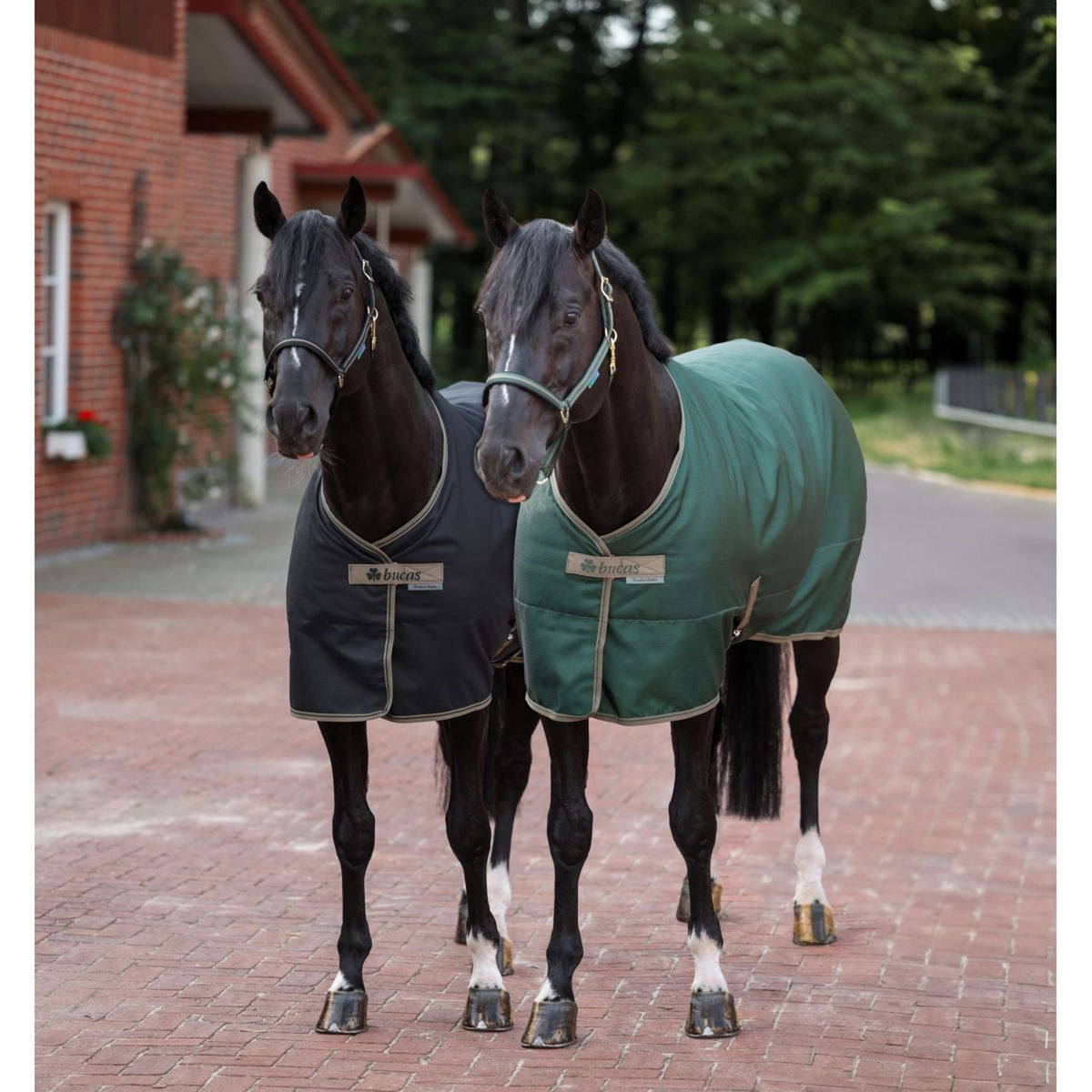 Bucas Stable Rug Freedom 150gr Black/Taupe