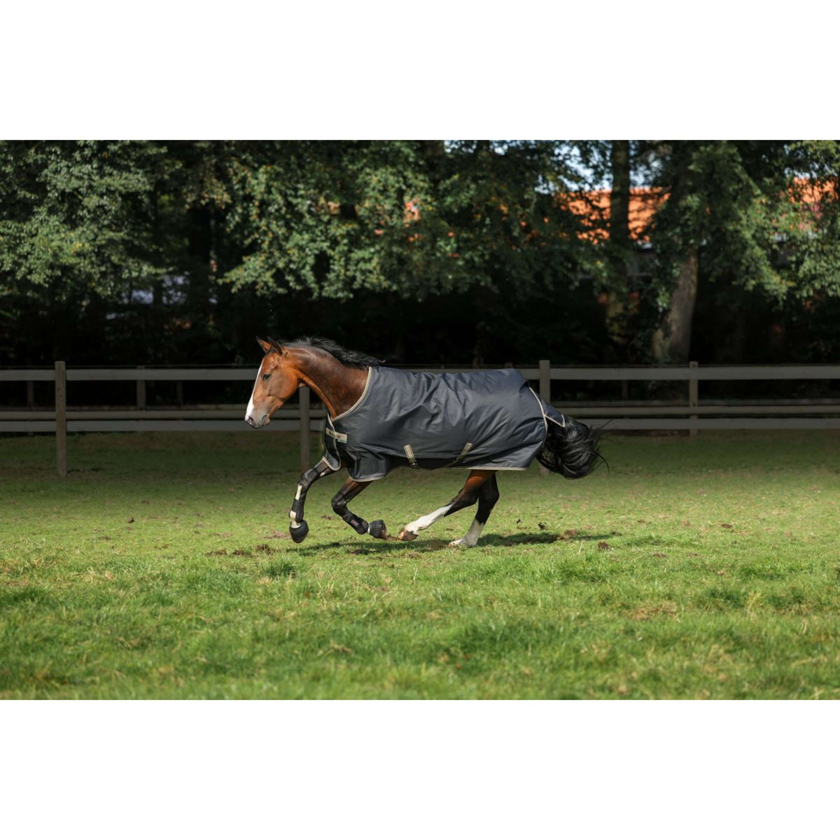 Bucas Winter Rug Freedom 300g Black/Taupe