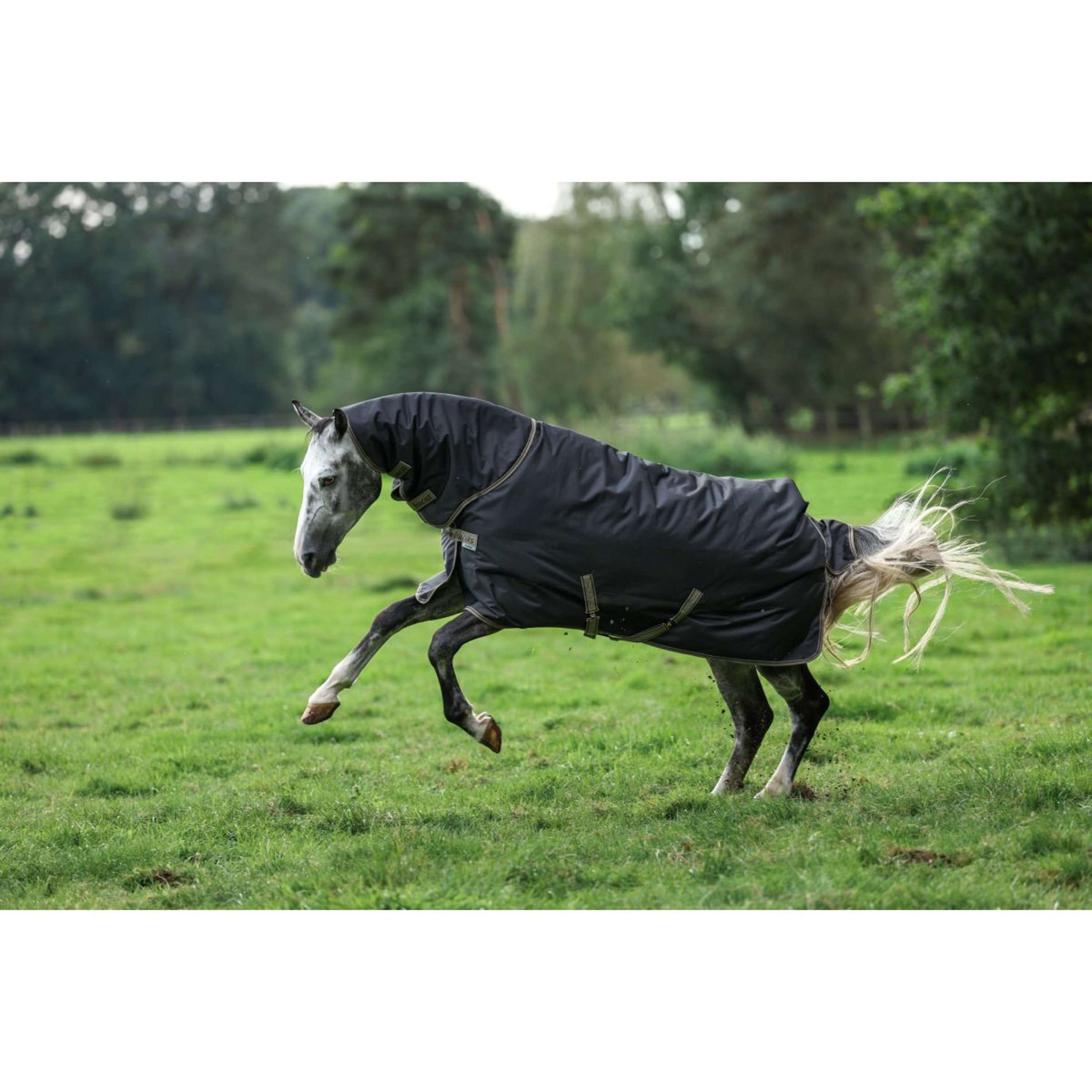 Bucas Winter Rug Freedom 300/150g Black/Taupe