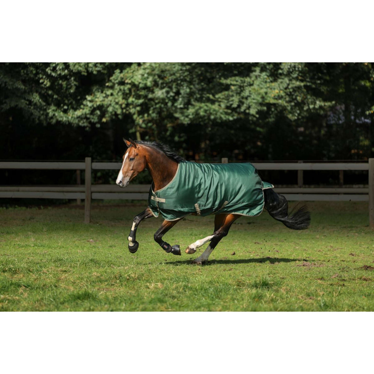 Bucas Rain Rug Freedom Opal/Taupe