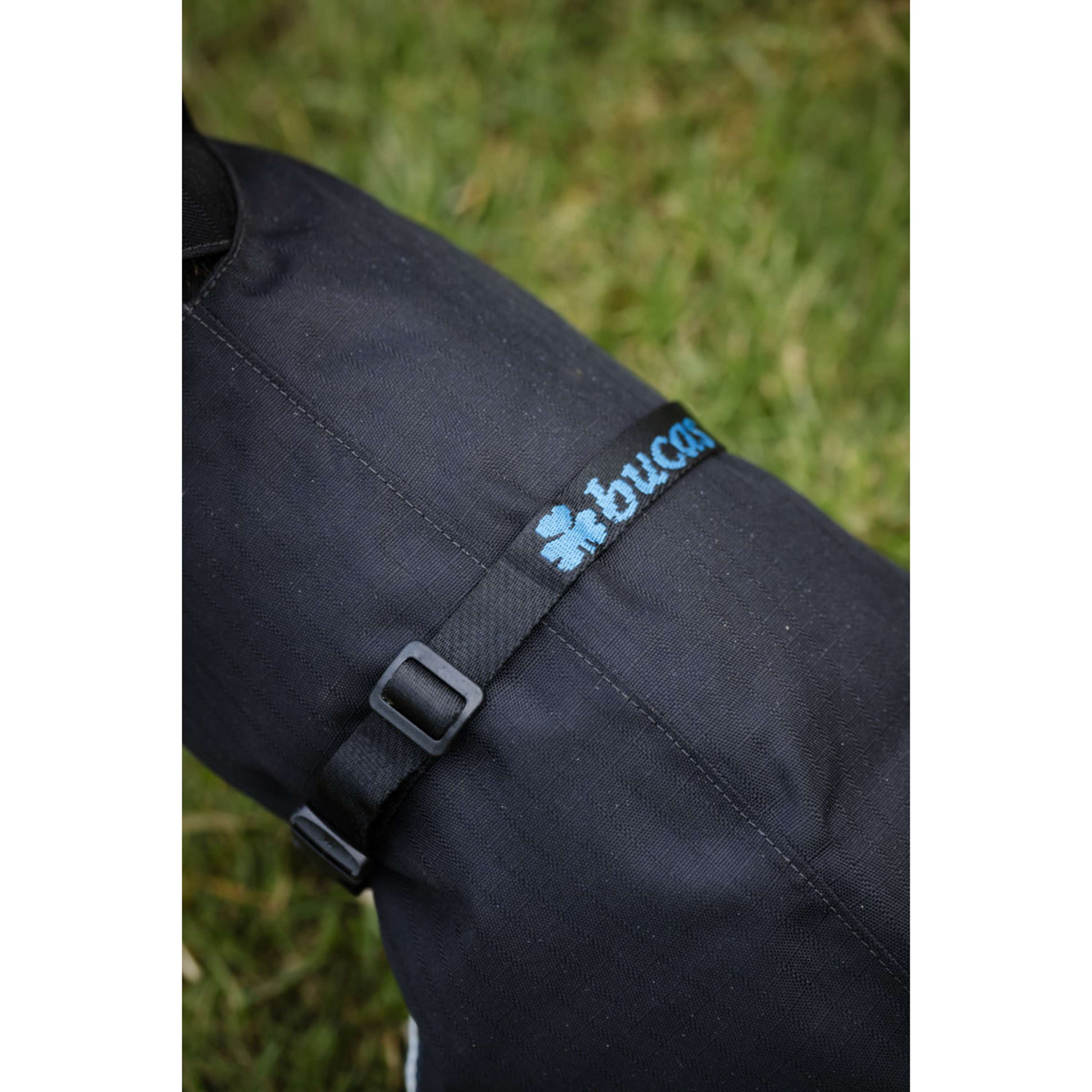 Bucas Anniversary Dog Rug Sapphire