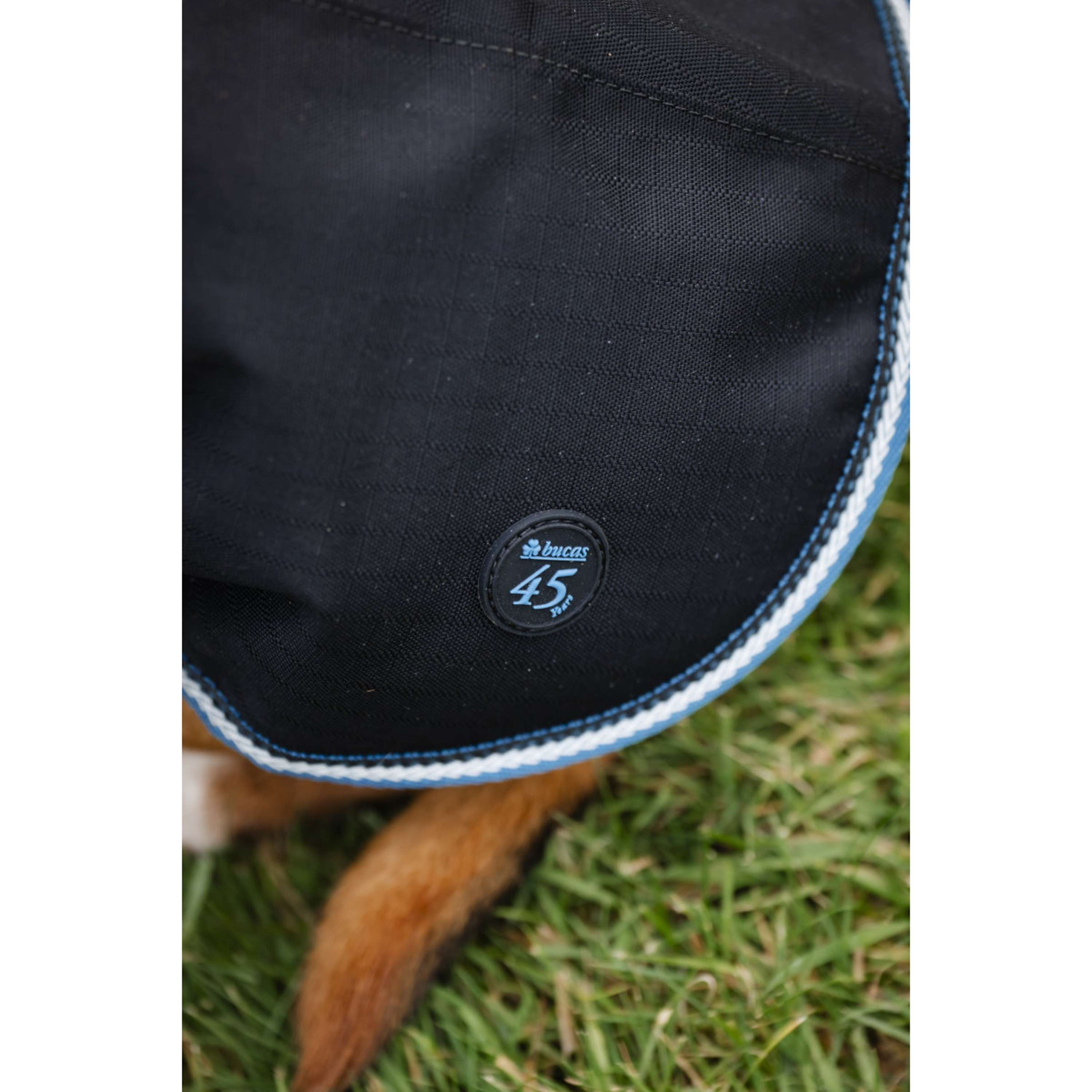 Bucas Anniversary Dog Rug Sapphire