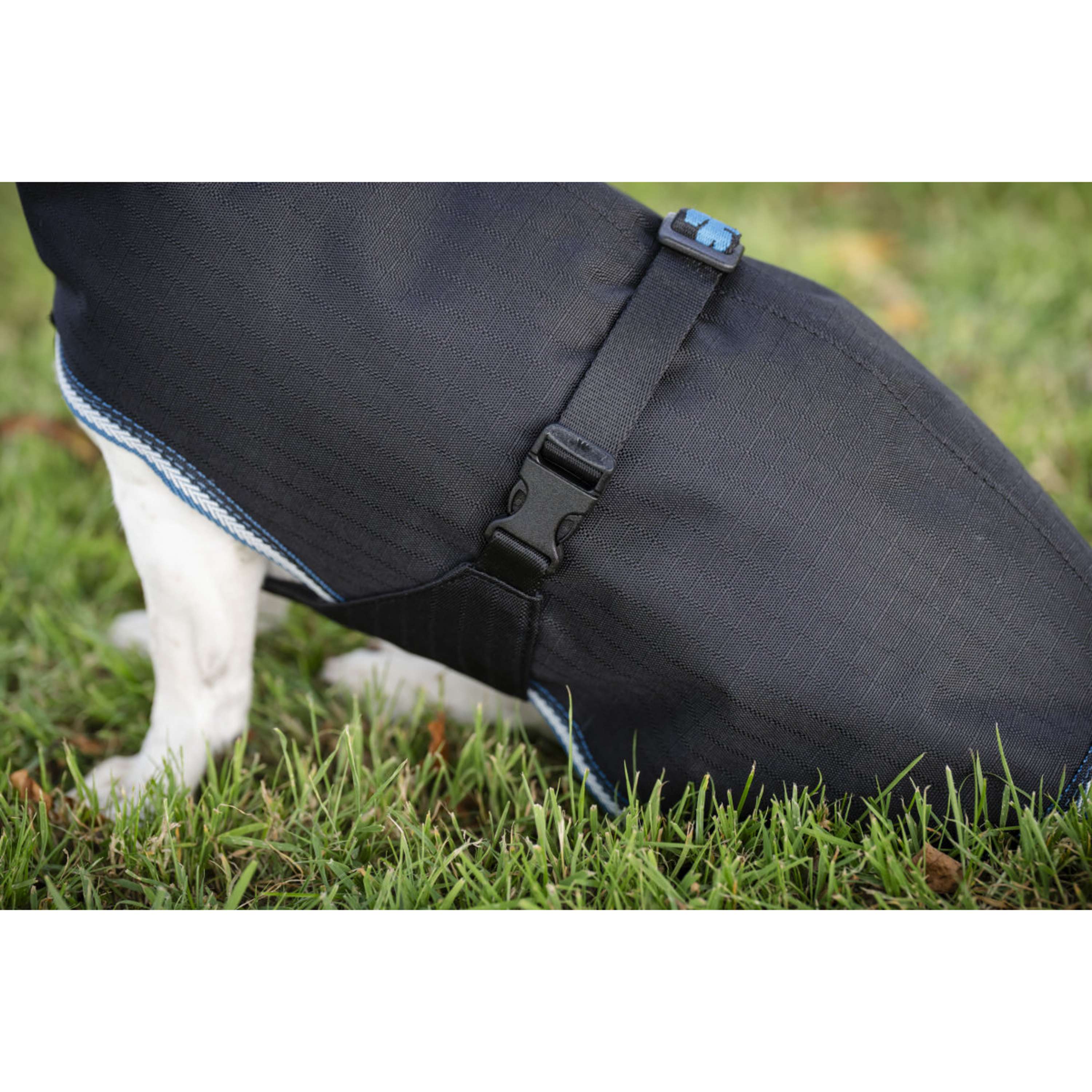 Bucas Anniversary Dog Rug Sapphire