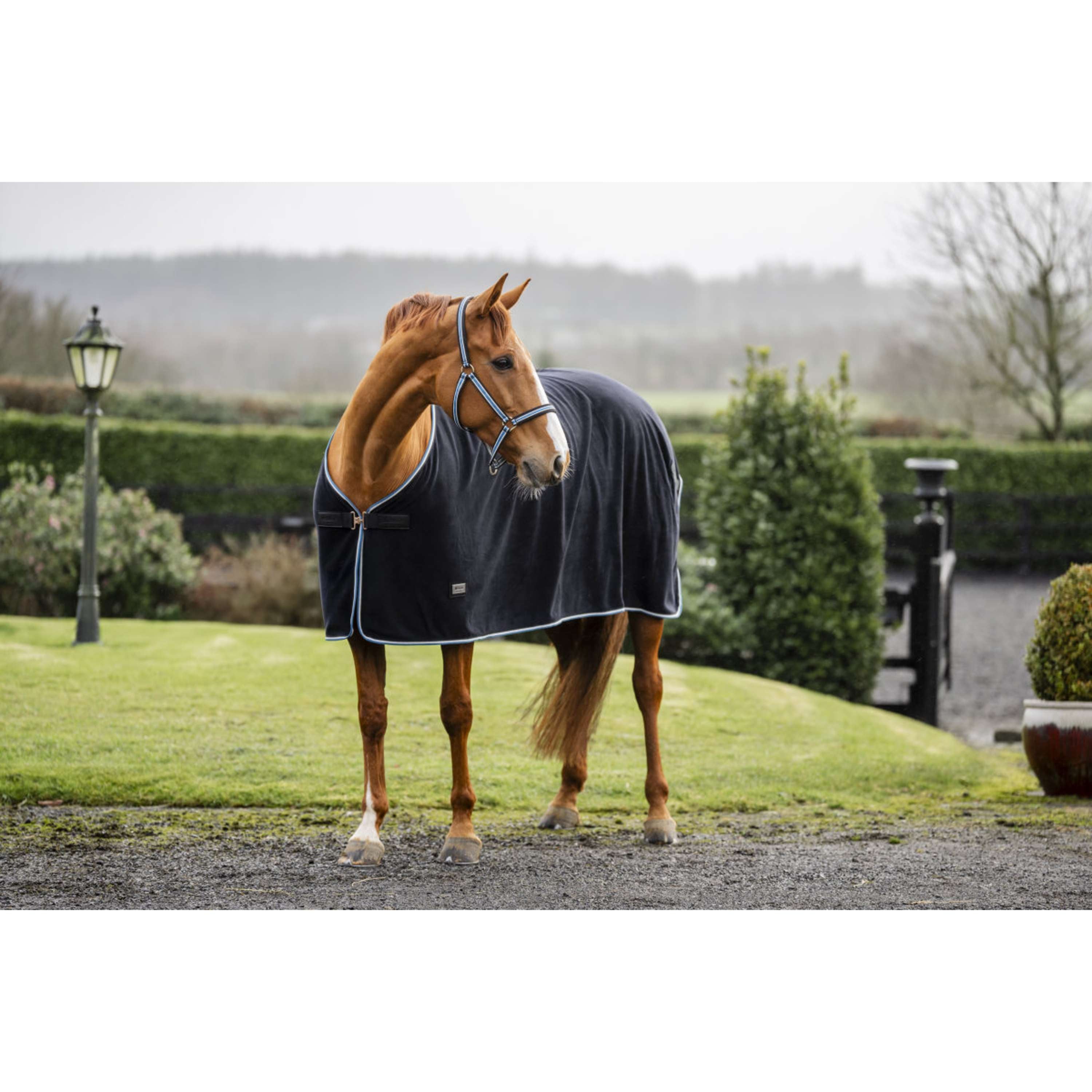Bucas Anniversary Fleece Rug Exercise 400g Sapphire