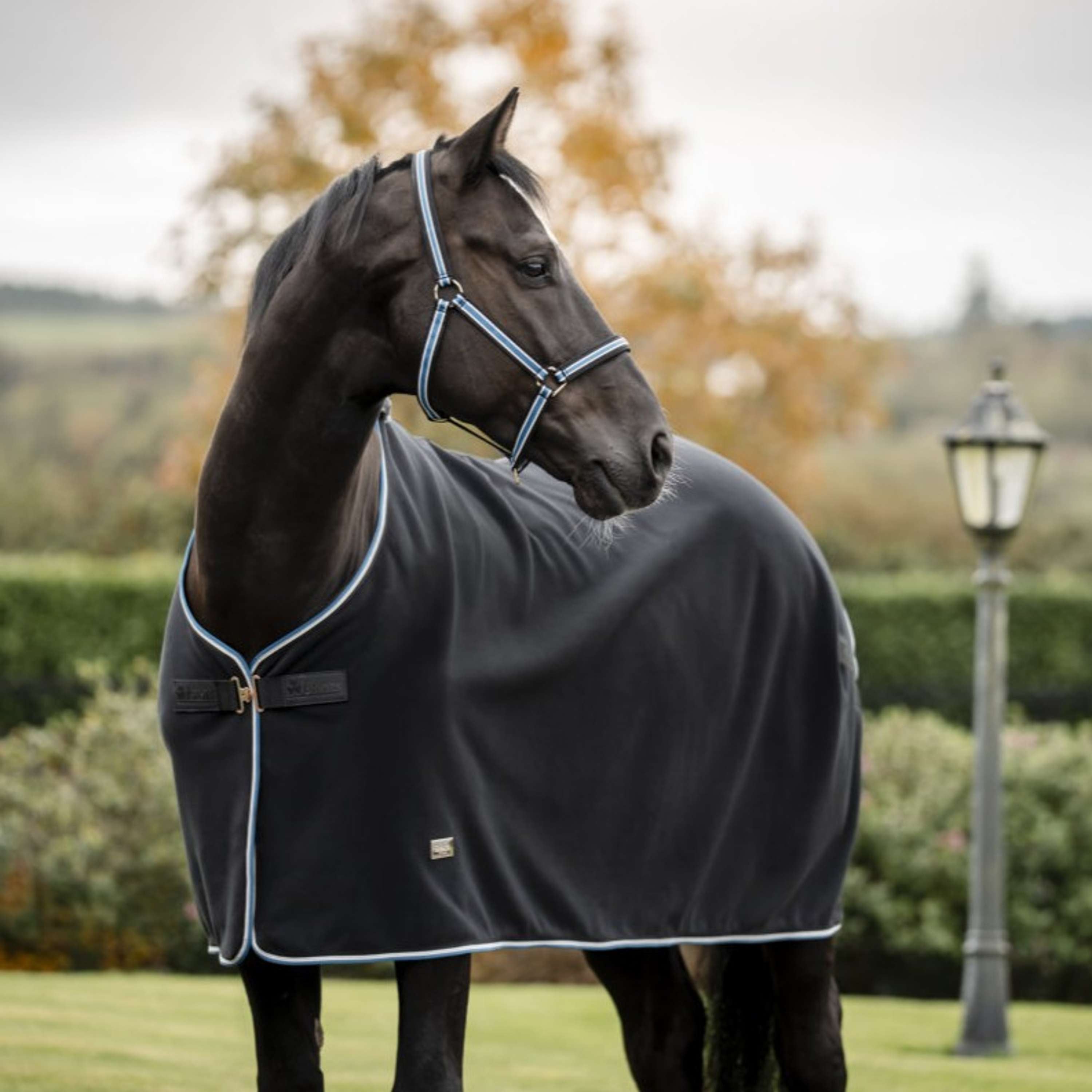 Bucas Anniversary Fleece Rug Exercise 400g Sapphire