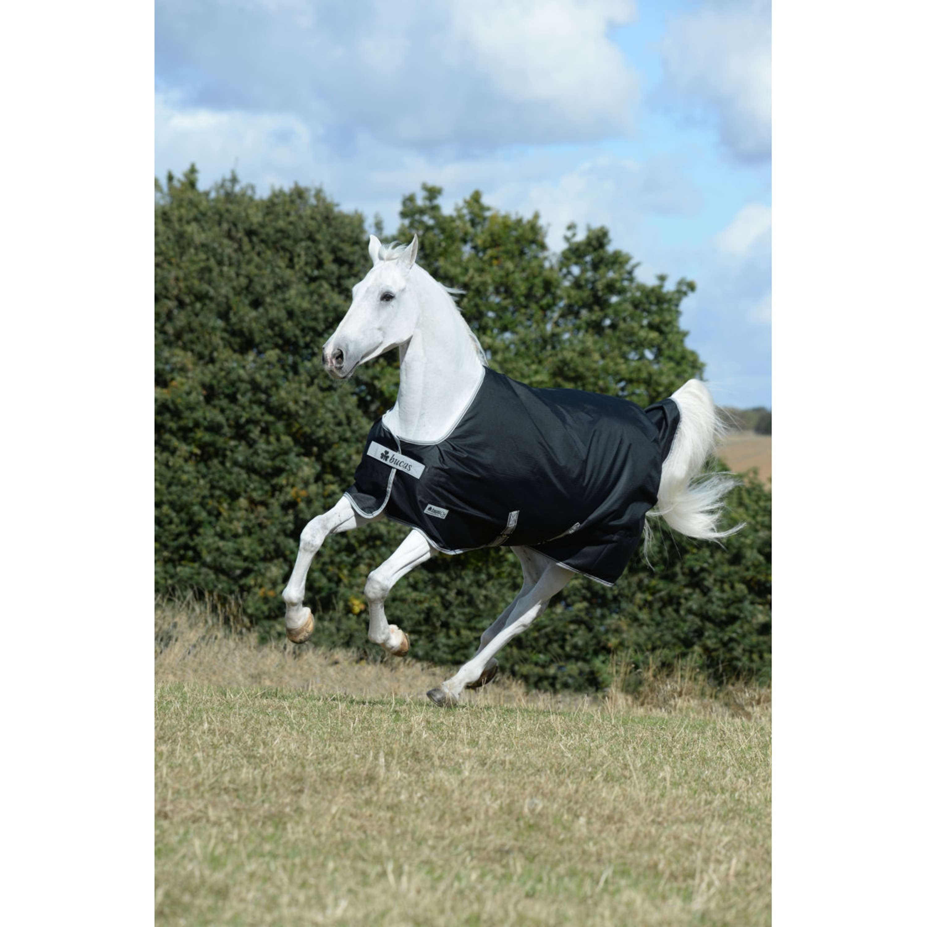 Bucas Anniversary Turnout Stay-dry 150g Sapphire