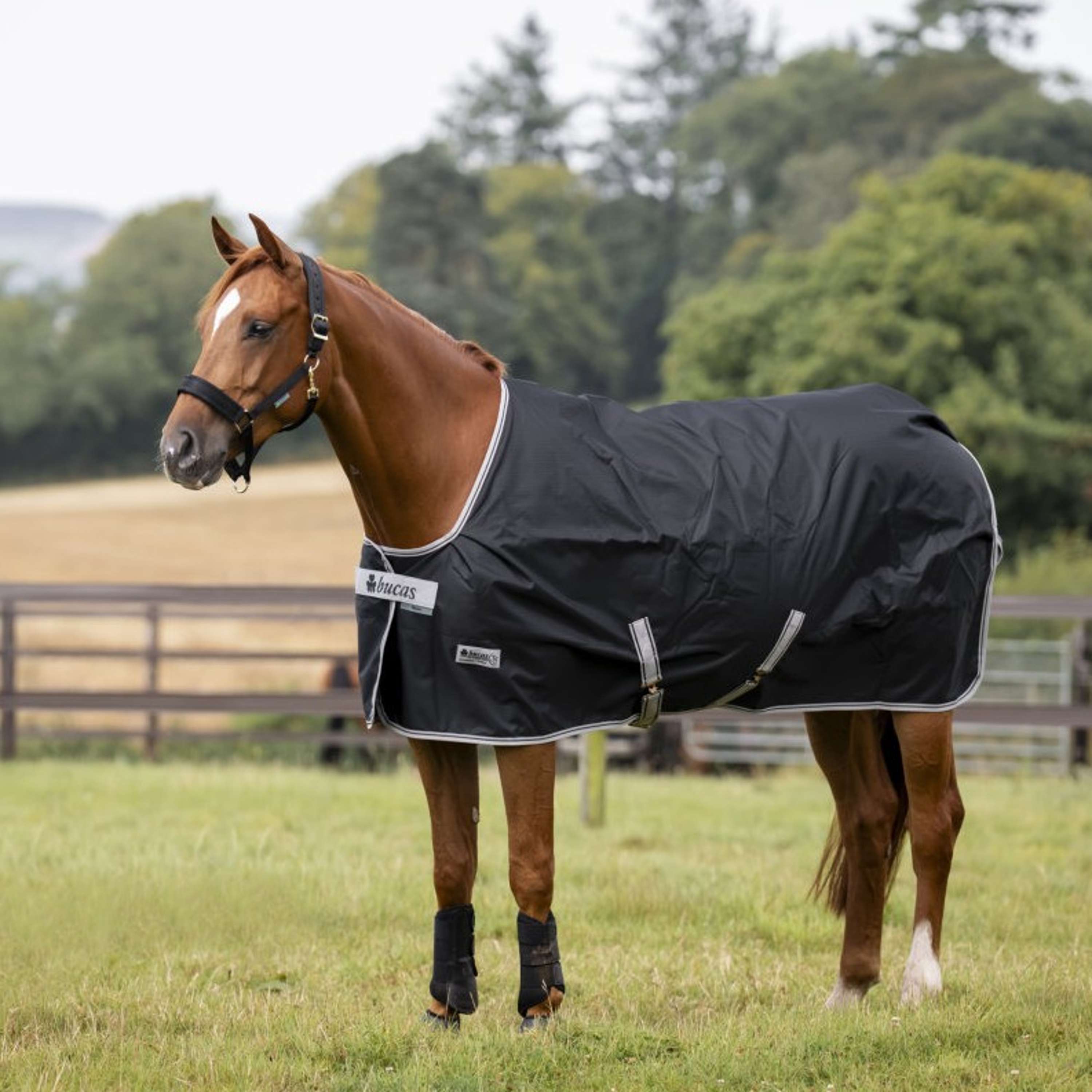 Bucas Anniversary Turnout Stay-dry 150g Sapphire