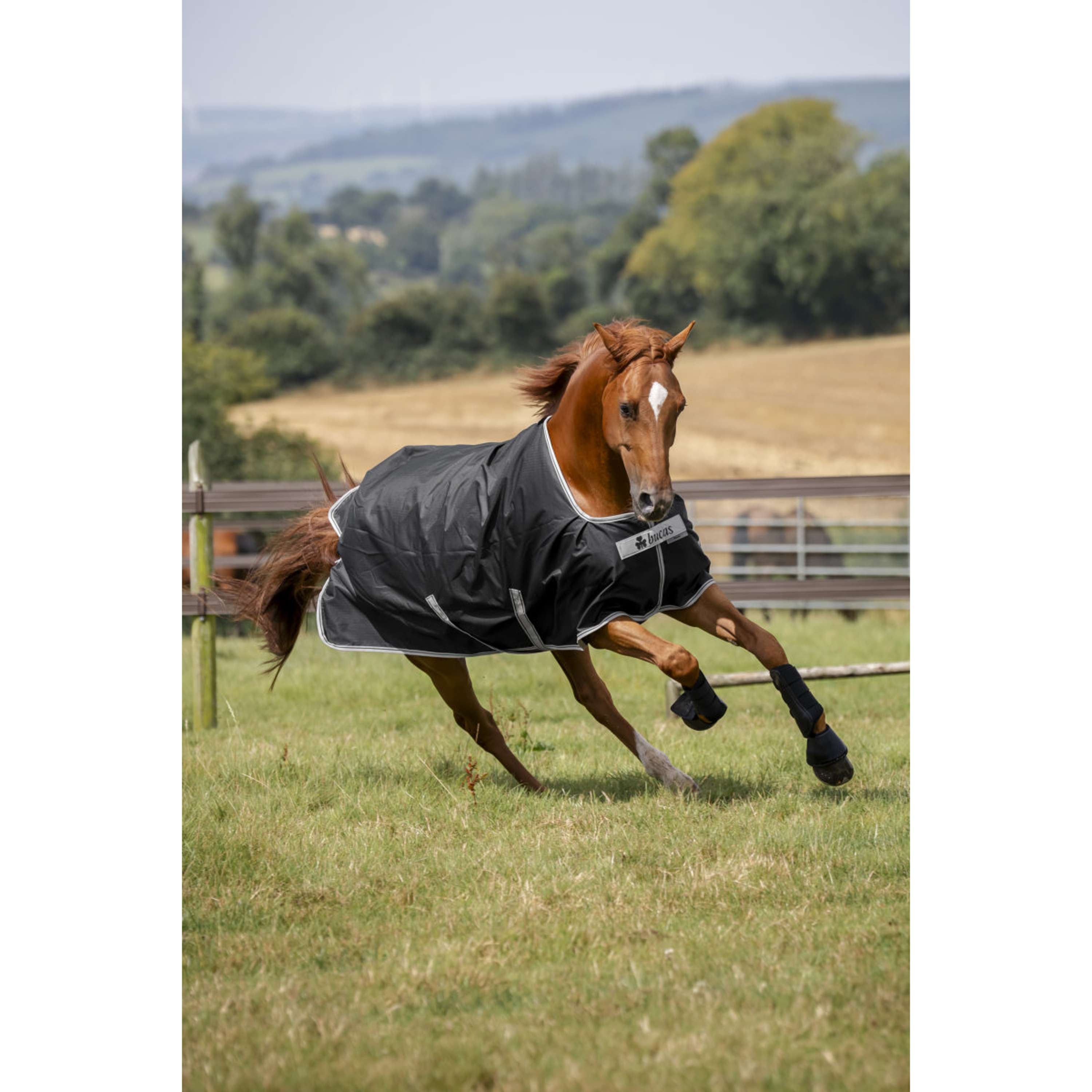 Bucas Anniversary Turnout Stay-dry 150g Sapphire