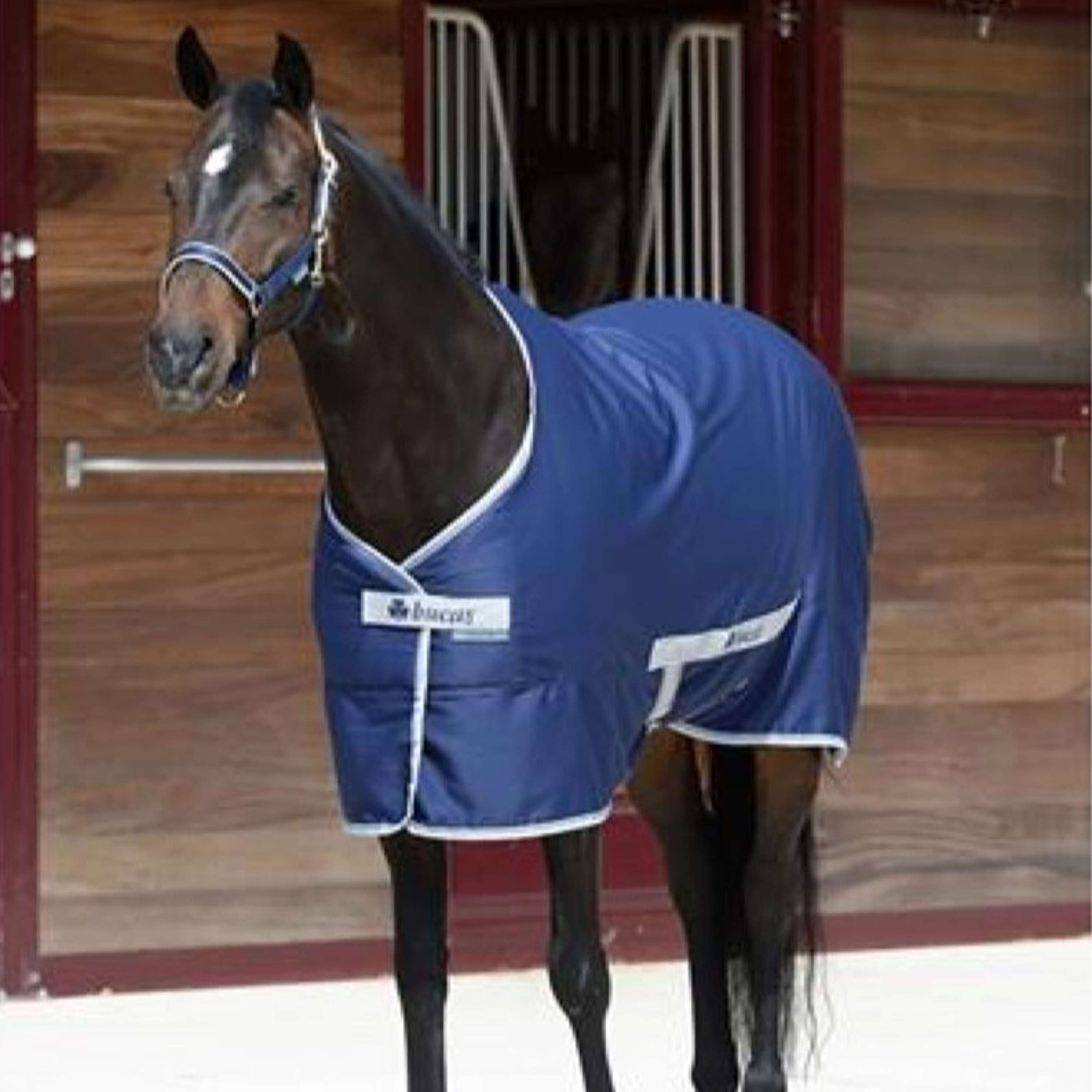 Bucas Twill Sheet Freedom 0g Navy