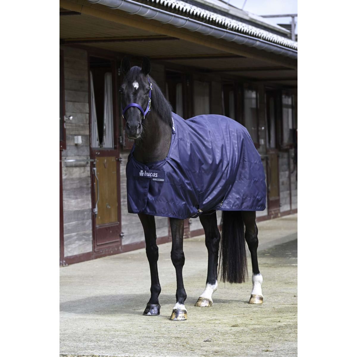 Bucas Stable Sheet 0g Navy/Navy