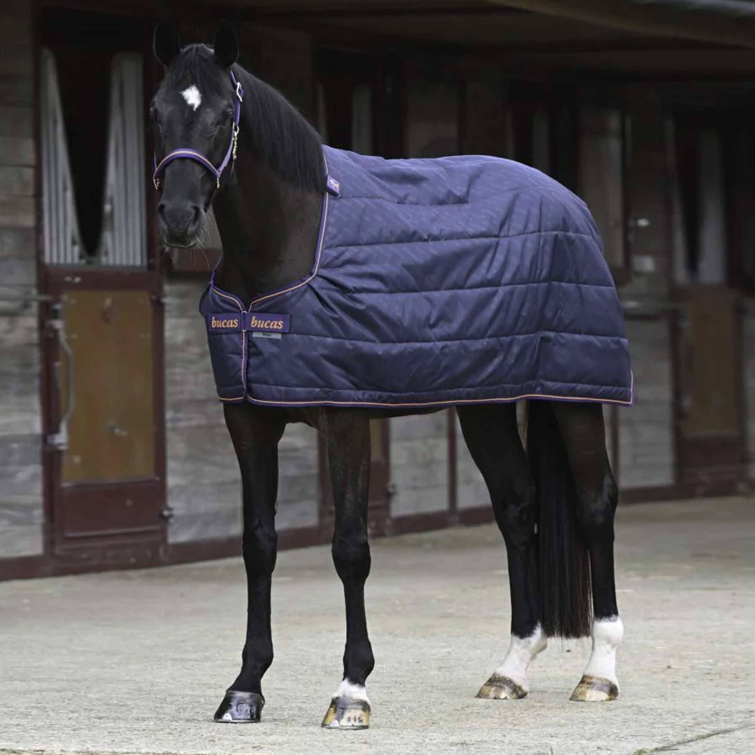 Bucas Therapy Liner Navy/Orange Bucas Therapy Liner Navy/Orange