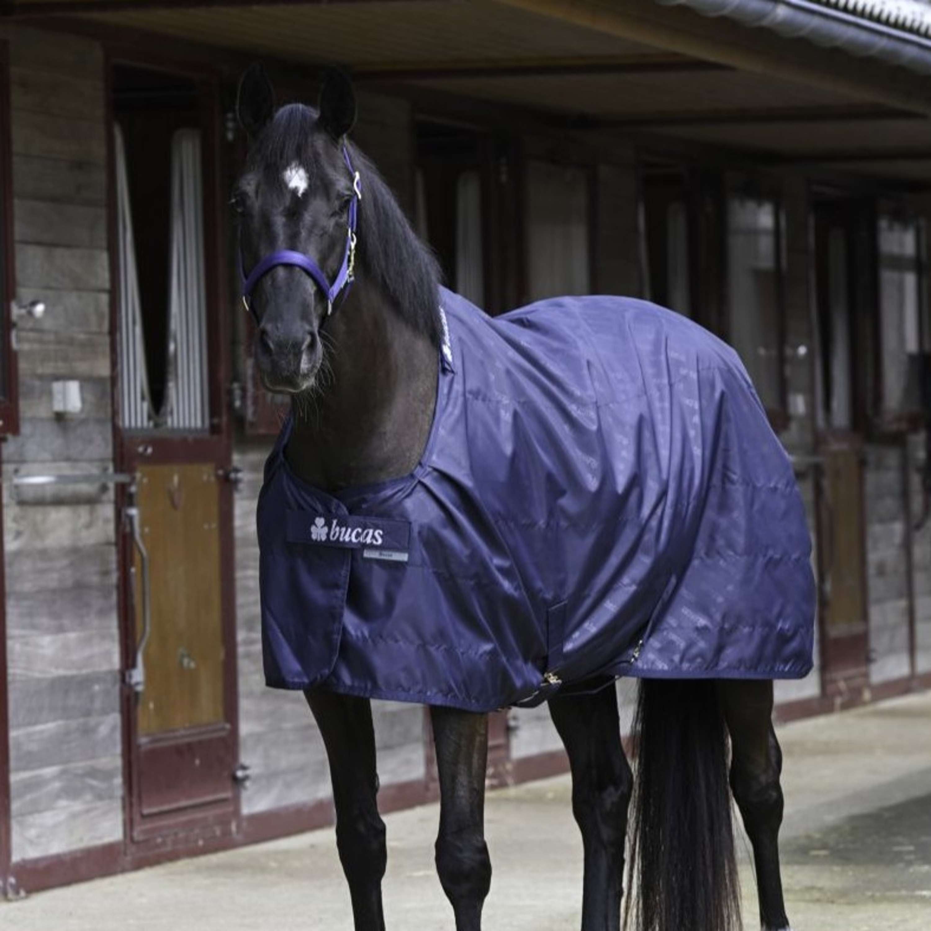 Bucas Stable Sheet 0g Navy/Navy