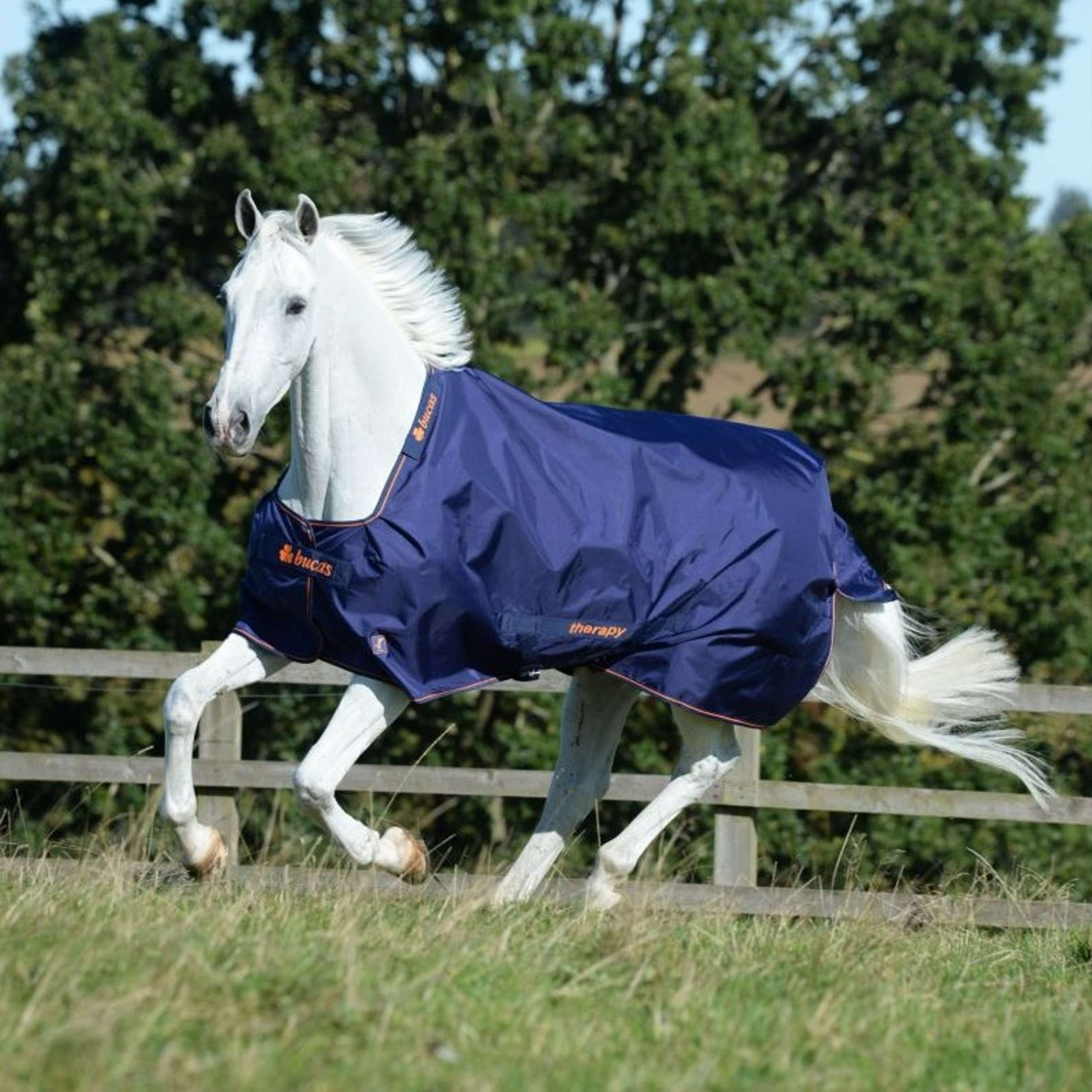Bucas Therapy Turnout 150g Navy/Orange