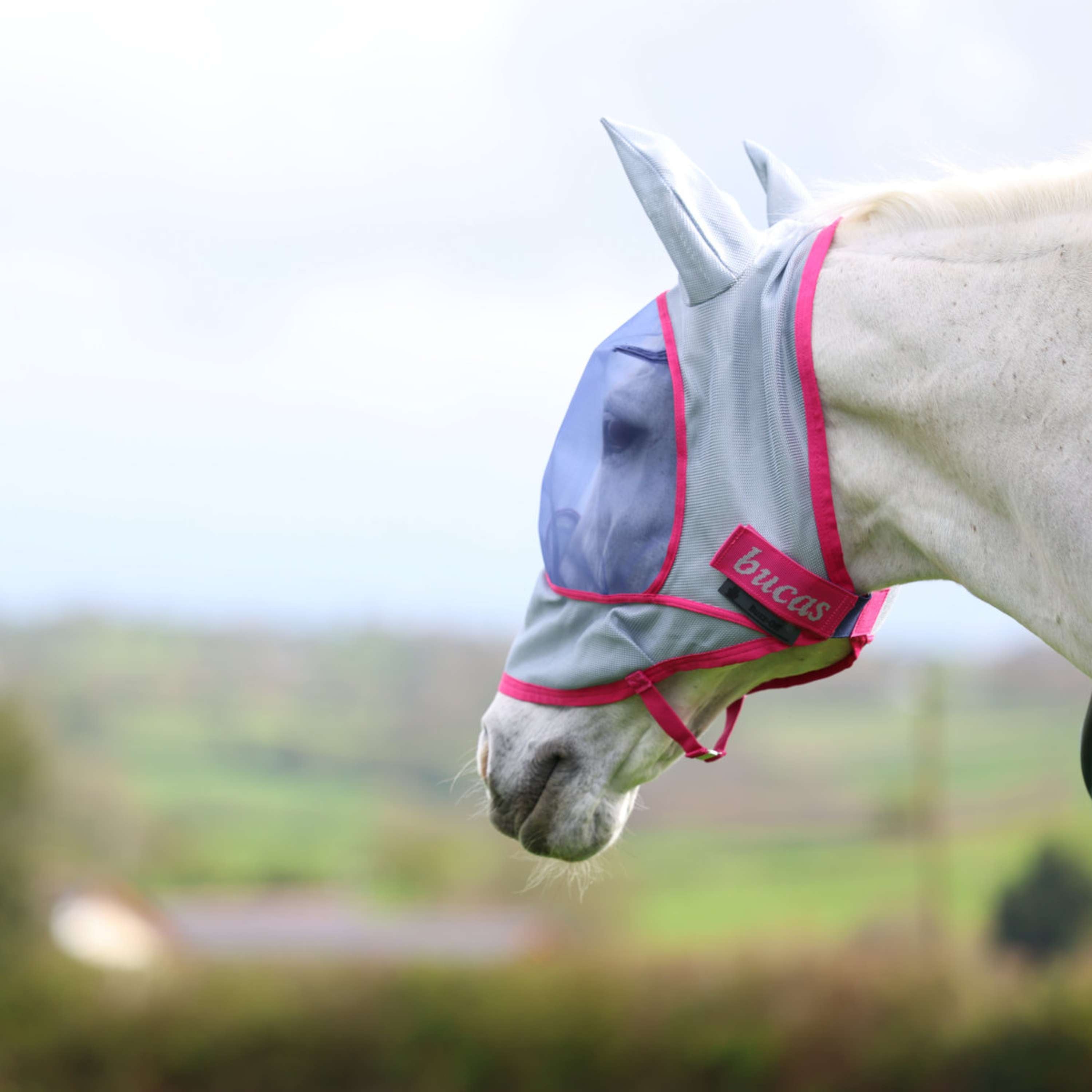 Bucas Buzz-Off Fly Mask Deluxe with Ears Blue/Blossom