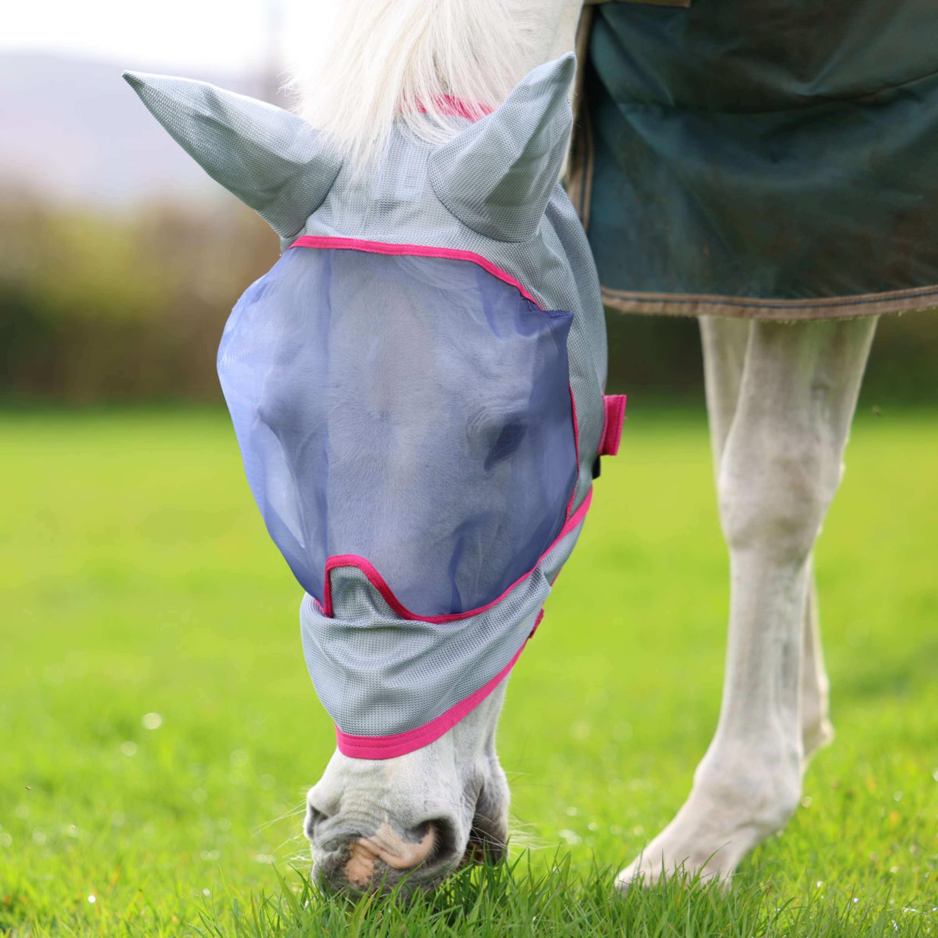 Bucas Buzz-Off Fly Mask Deluxe with Ears Blue/Blossom