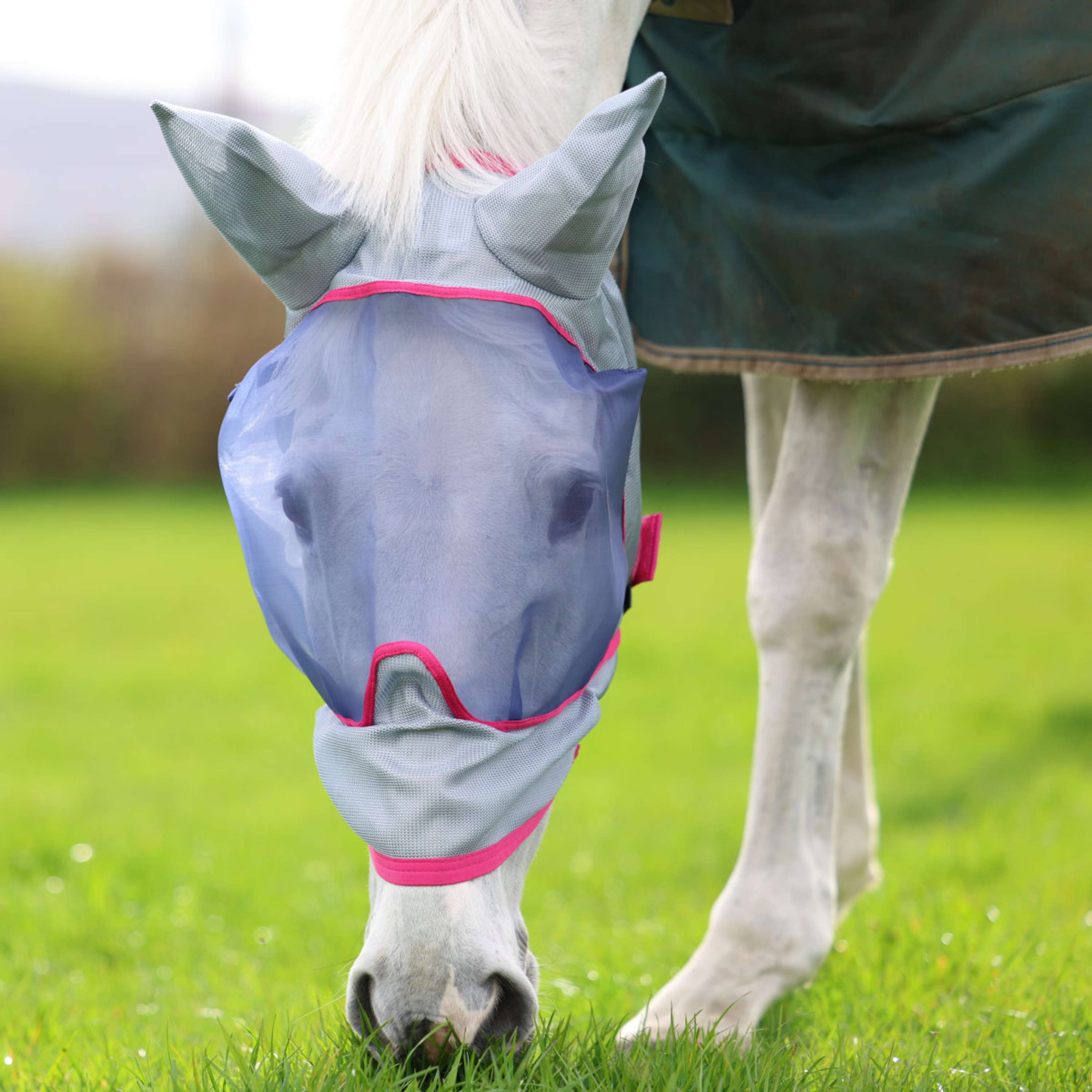 Bucas Buzz-Off Fly Mask Deluxe with Ears Blue/Blossom