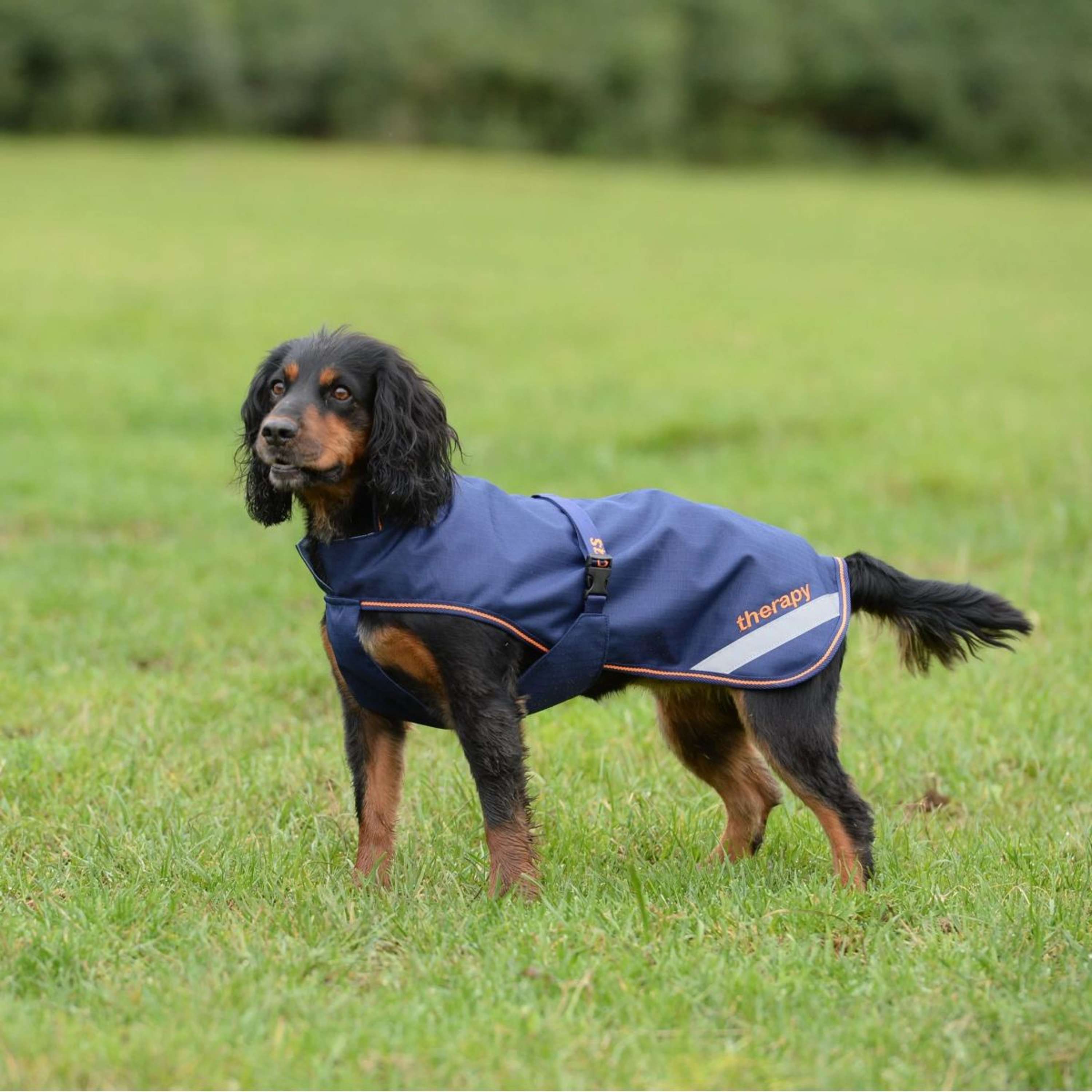 Bucas Therapy Dog Rug 150g Navy/Orange