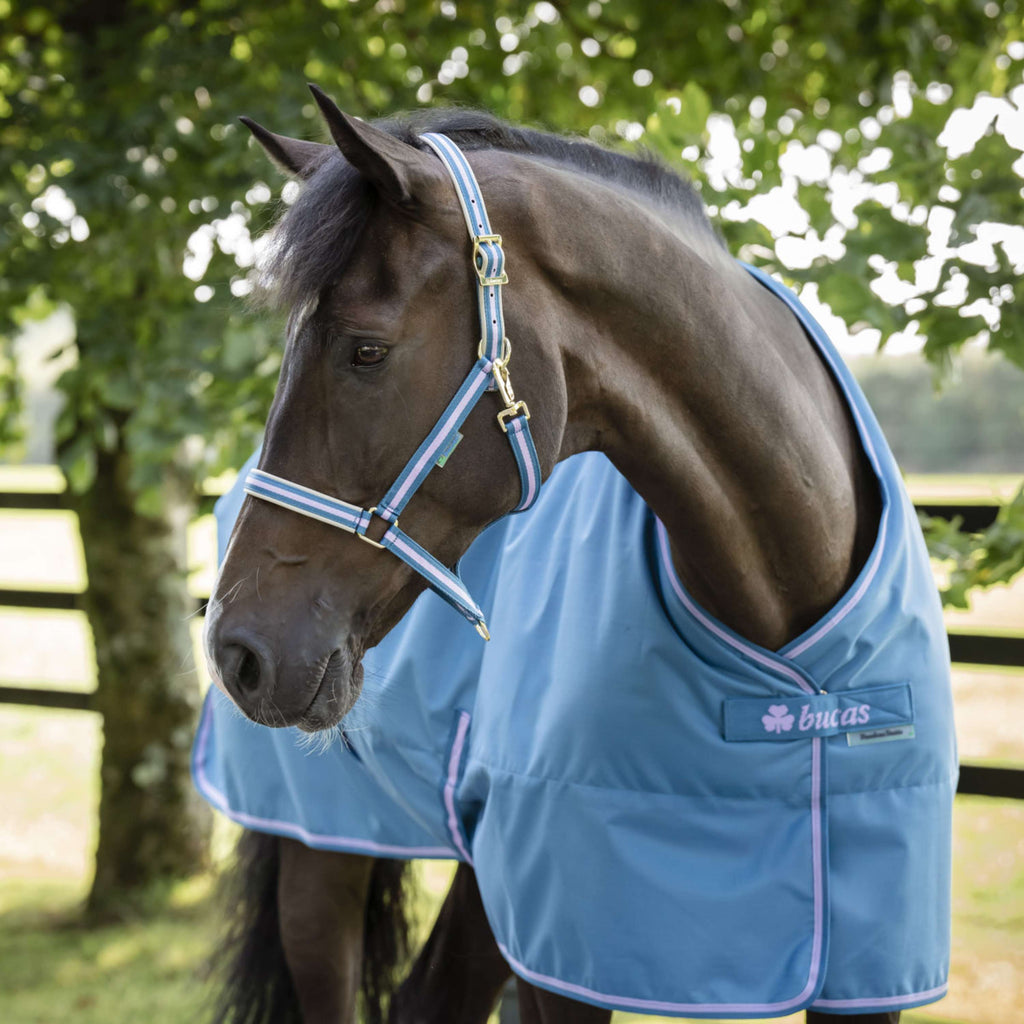 Bucas Freedom Stable Rug 150g Blueberry