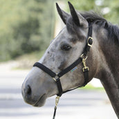 Bucas Halter Dublin Black