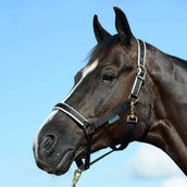 Bucas Halter Dublin Foal Black/Silver