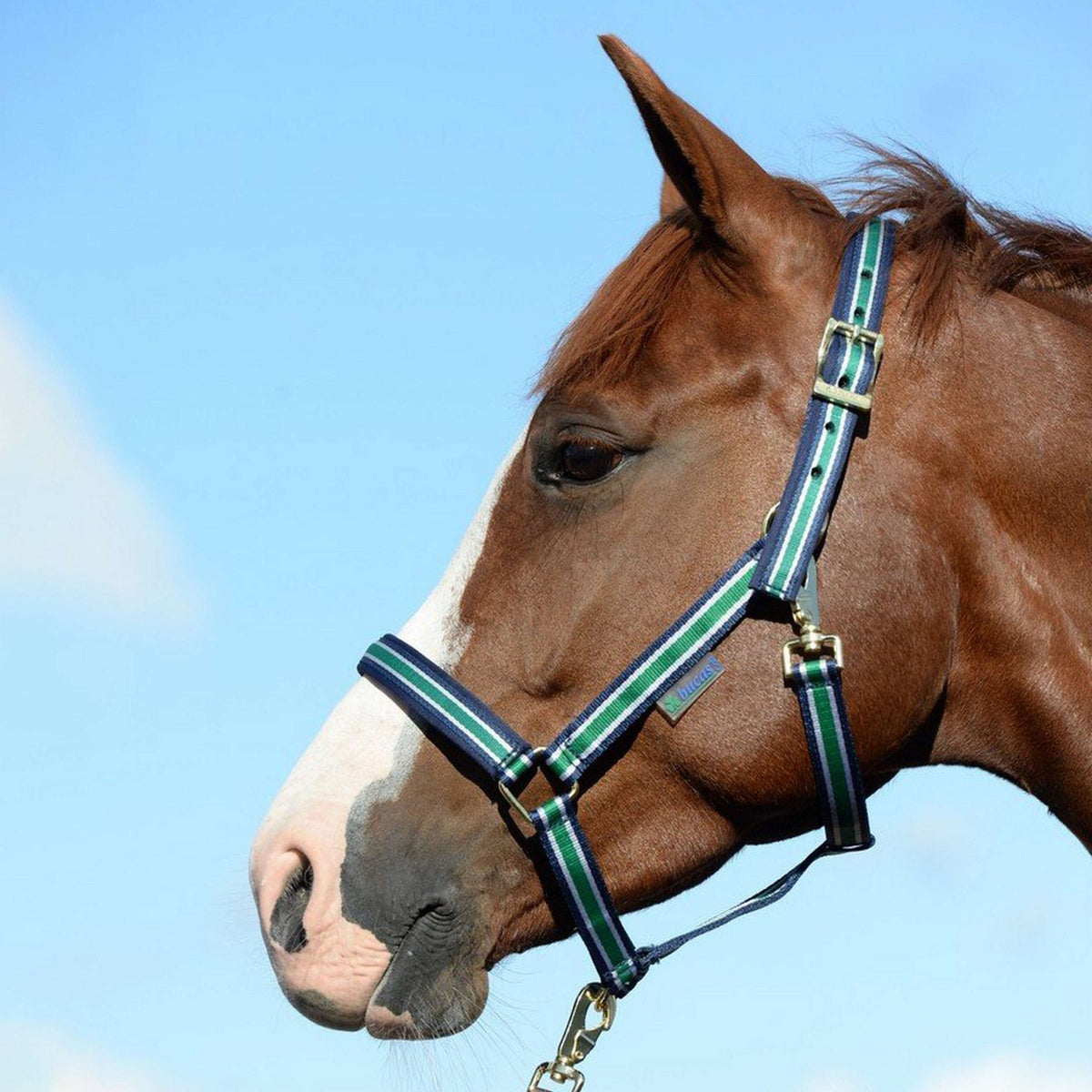 Bucas Halter Dublin Foal Striped Navy