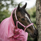 Bucas Halter Dublin Foal Aurora Pink