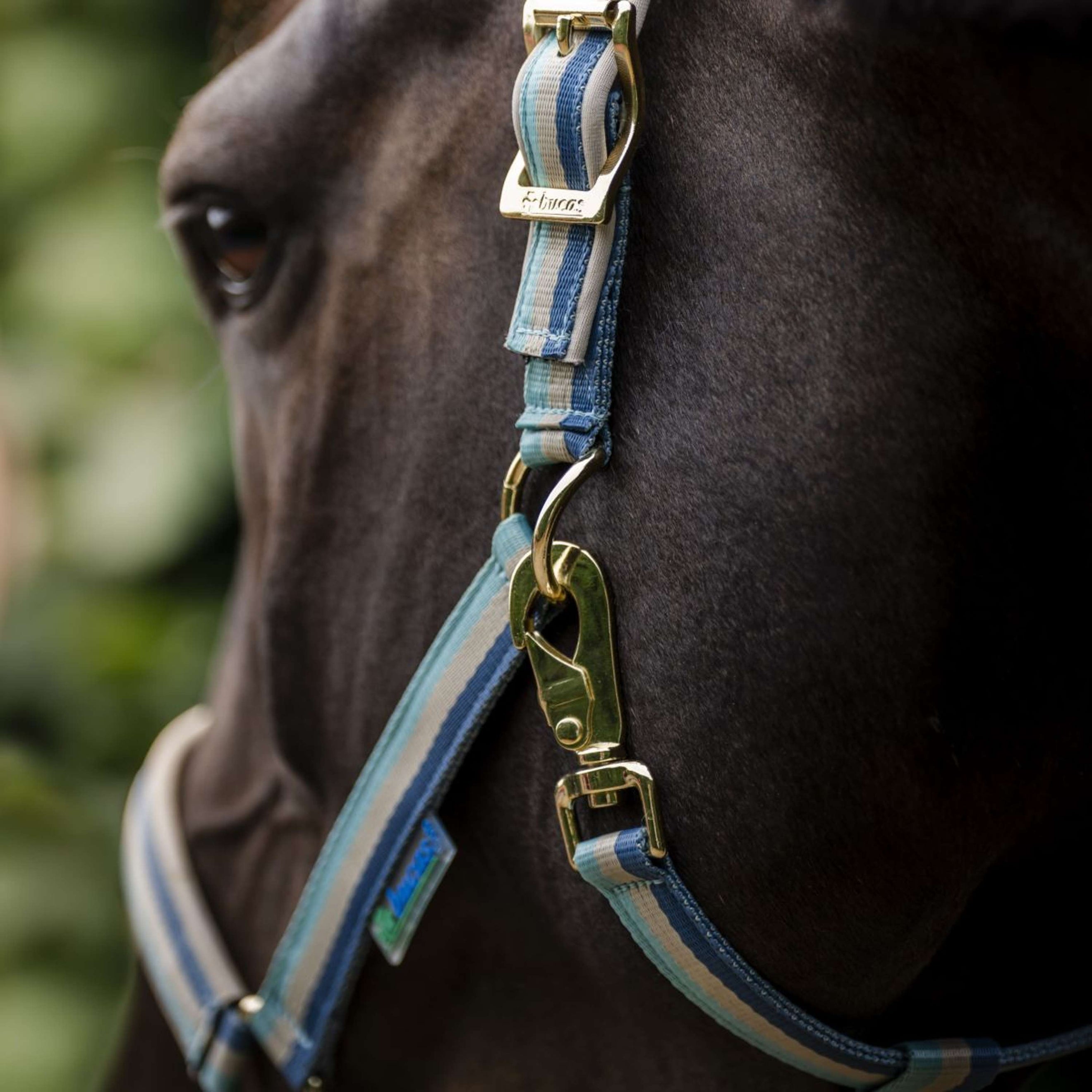 Bucas Halter Dublin Turquoise