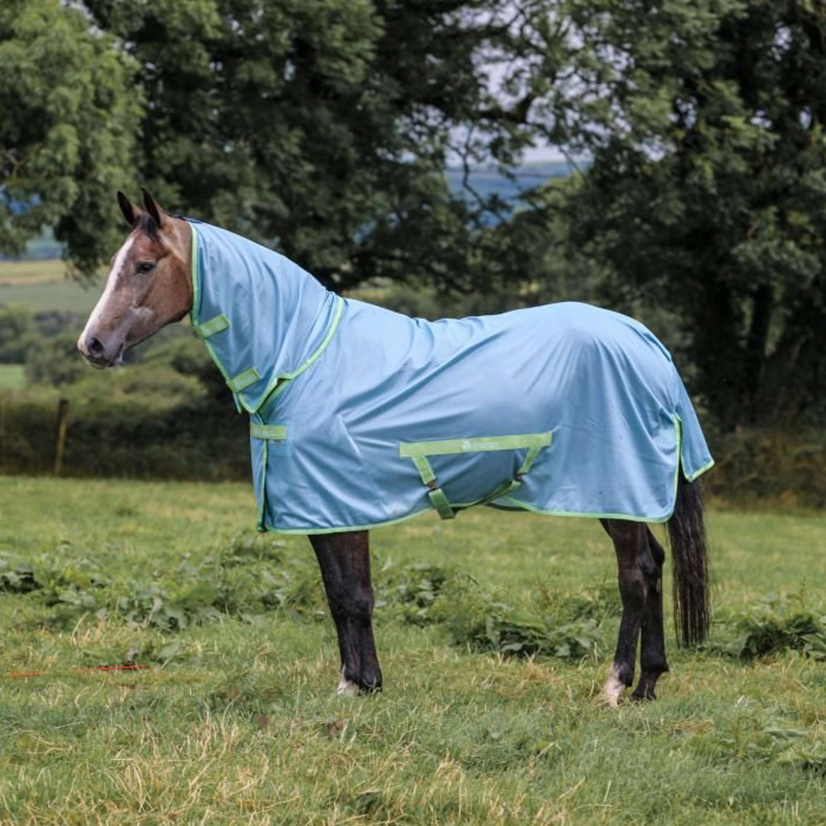 Bucas Freedom Fly Rug Cool Blue